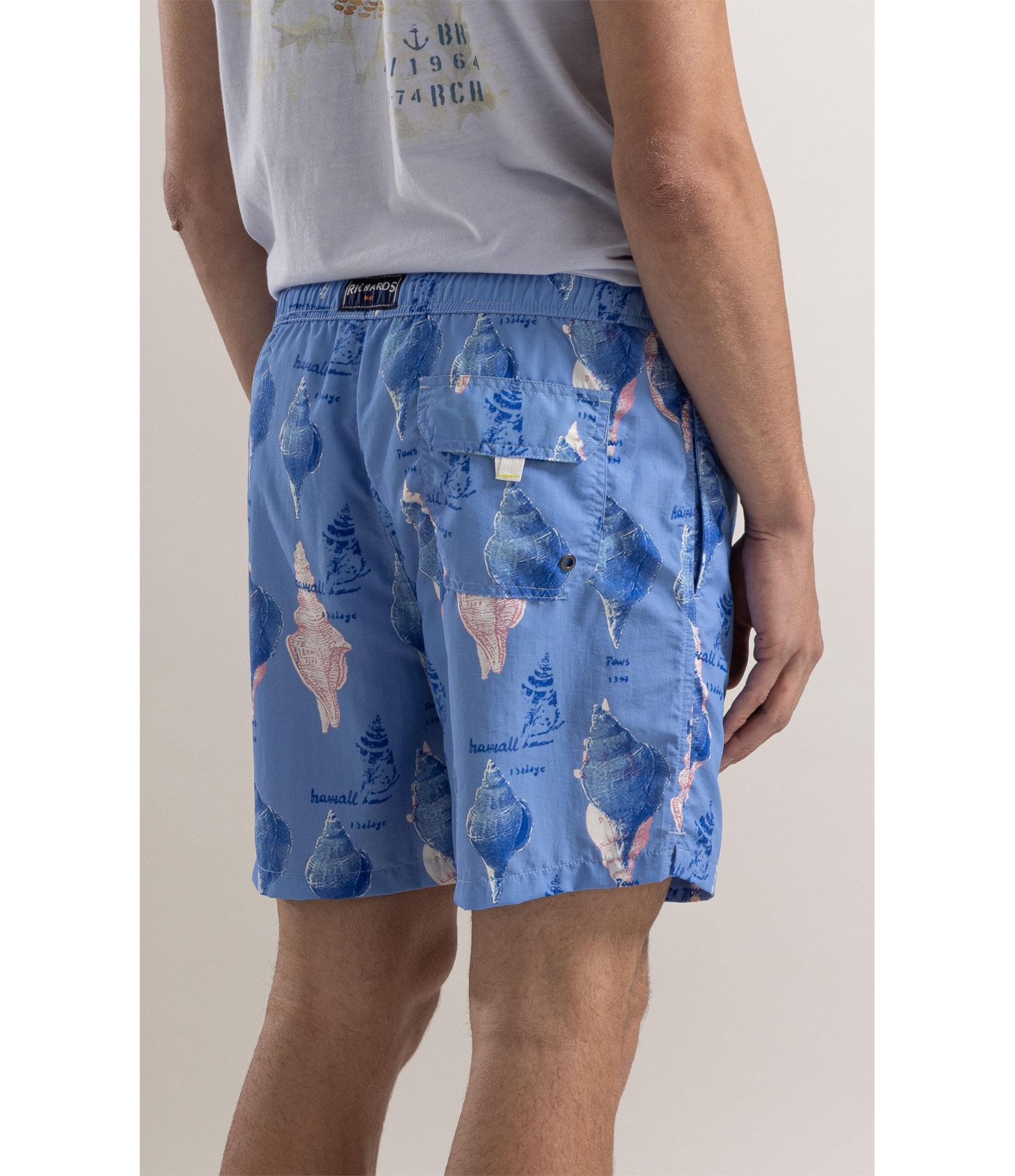 Beach Short Sketch Shells Regular Hortencia