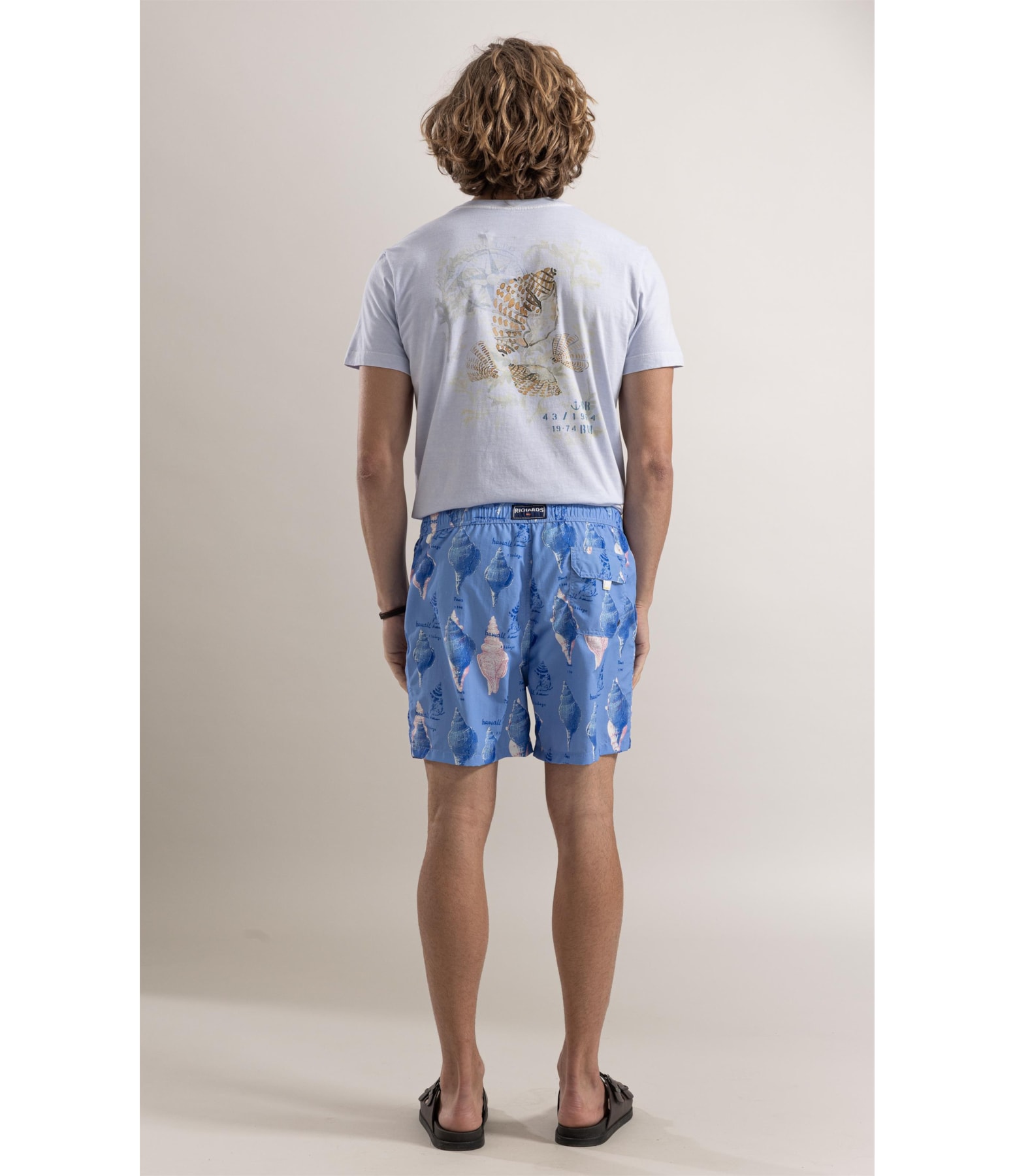 Beach Short Sketch Shells Regular Hortencia