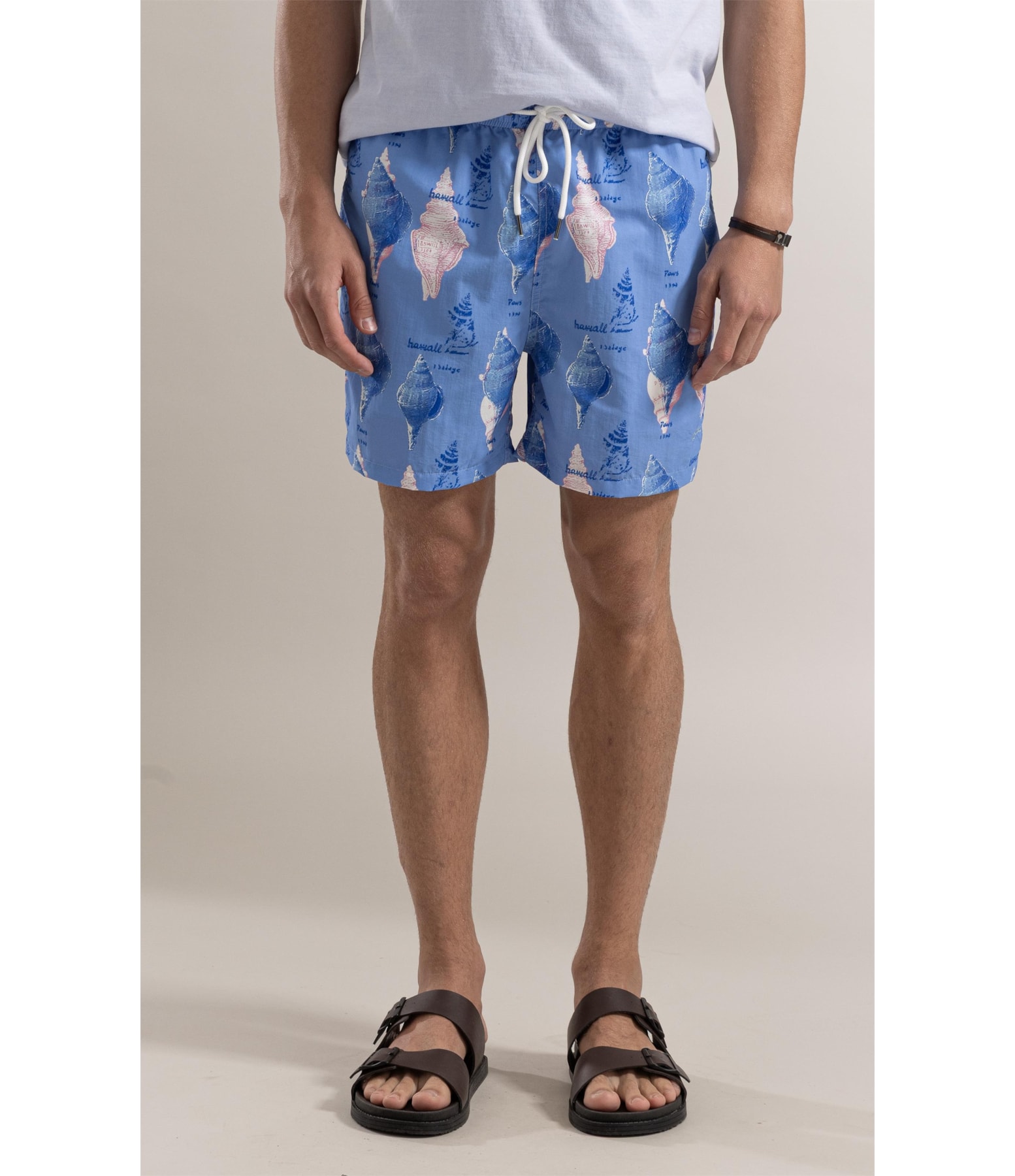 Beach Short Sketch Shells Regular Hortencia