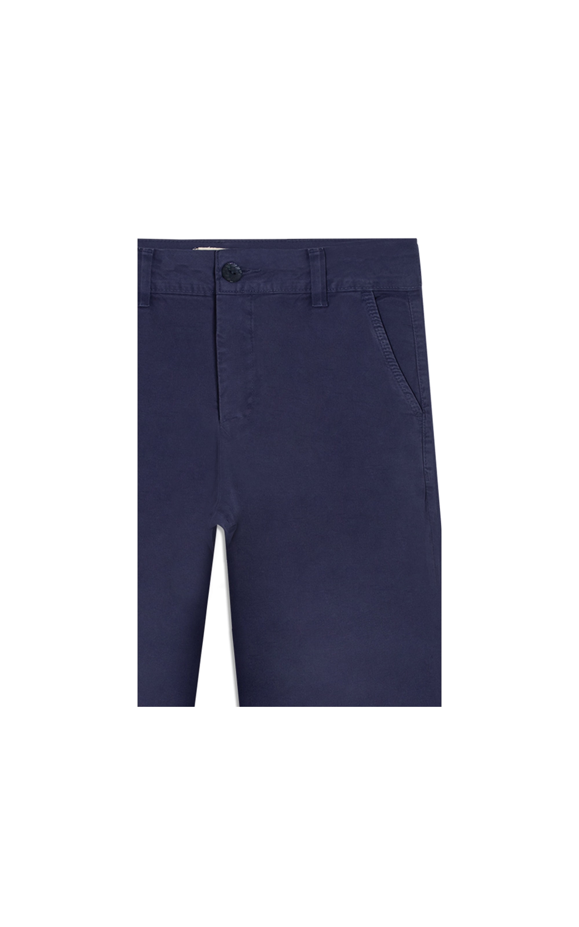 Bermuda Chino Paris Purple Blue