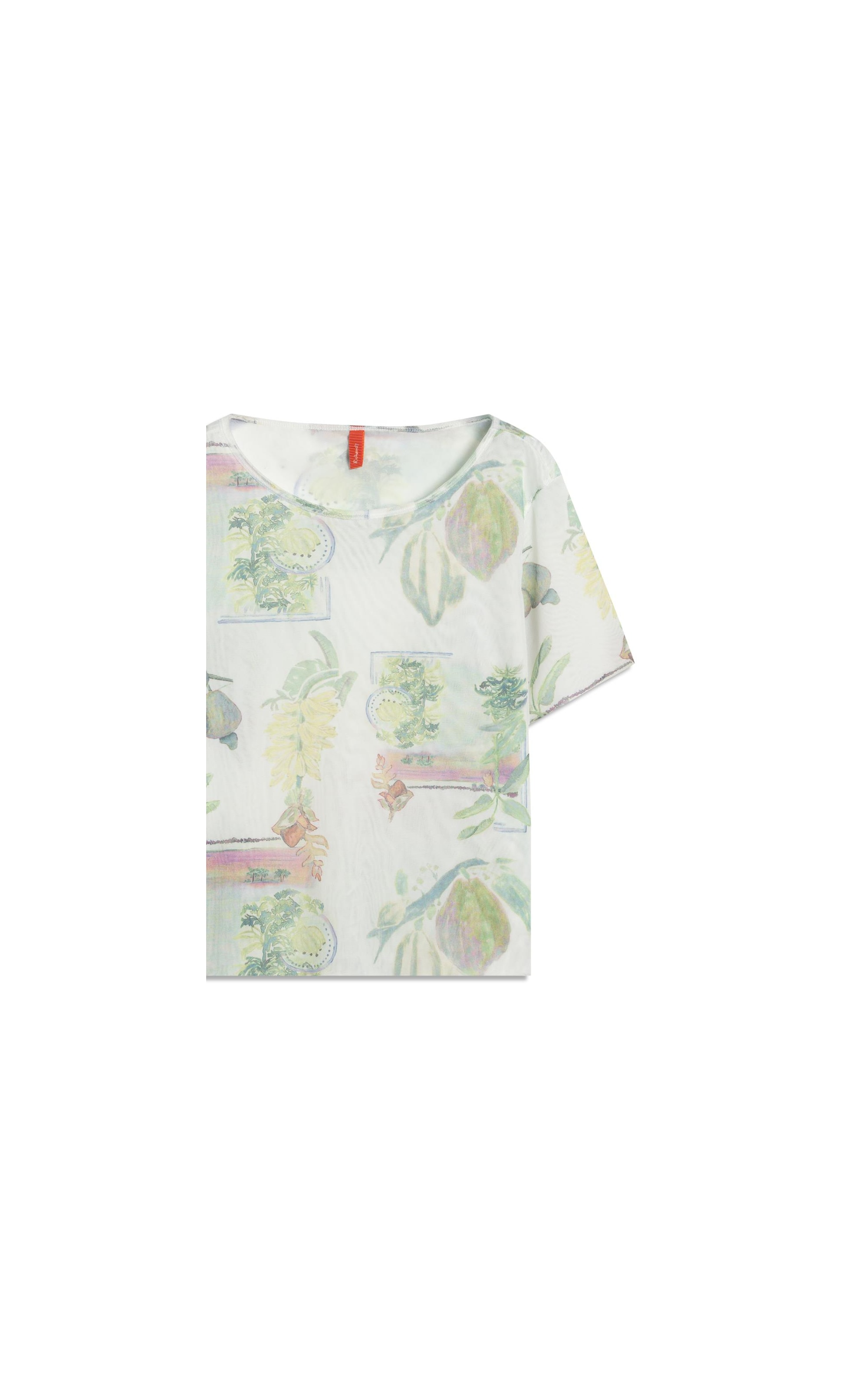 Blusa Manoela Tule Estampa Listra Flor Branco