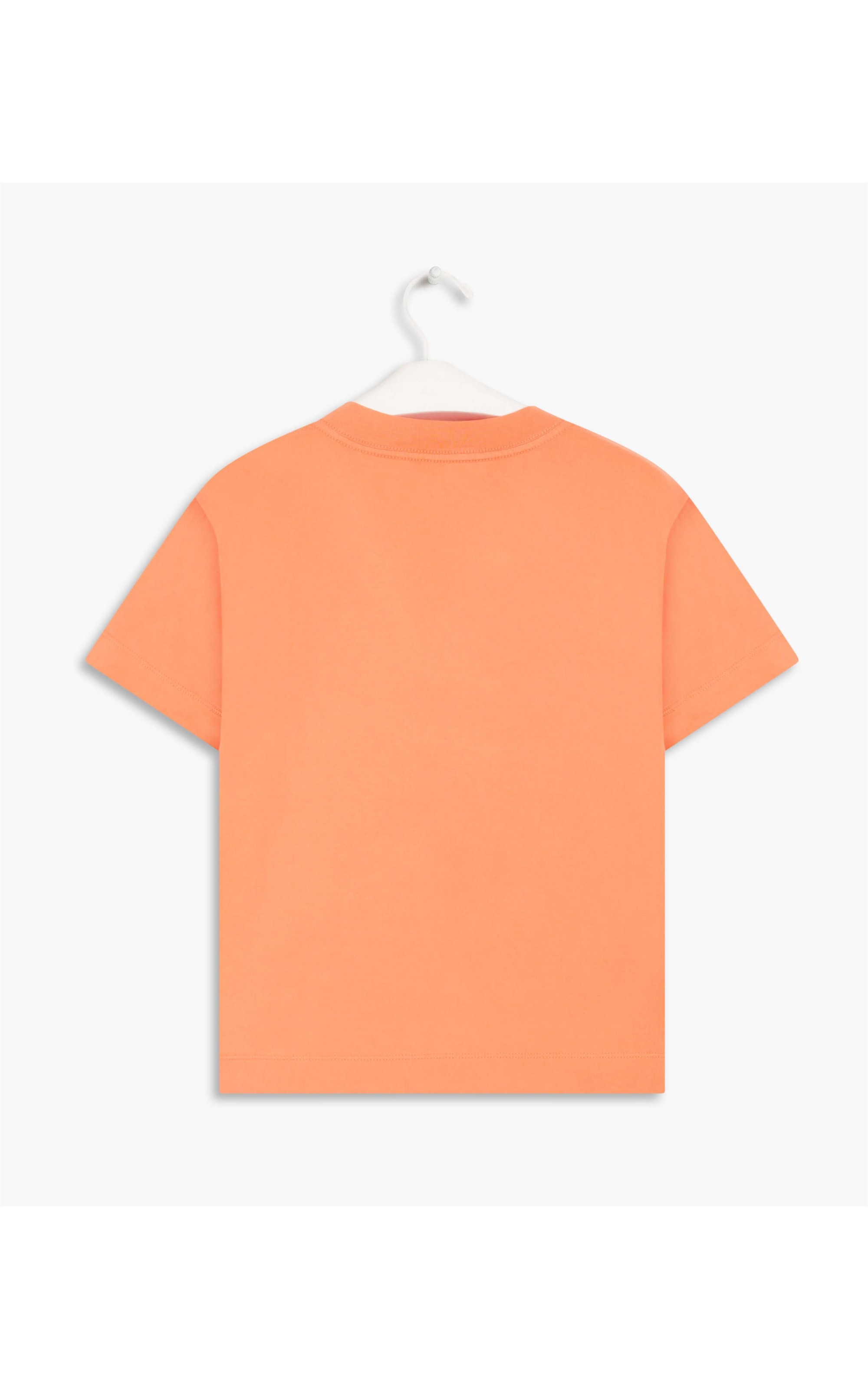 Blusa Pop Gd Pessego
