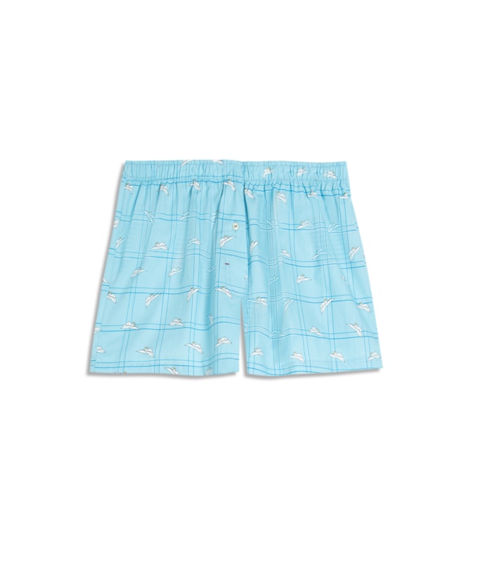 Boxer Algodao Bird Azul Claro