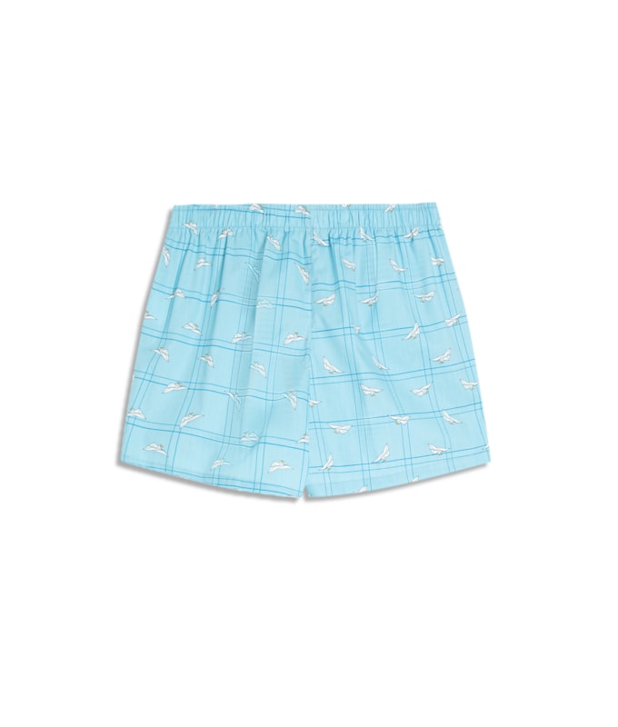 Boxer Algodao Bird Azul Claro