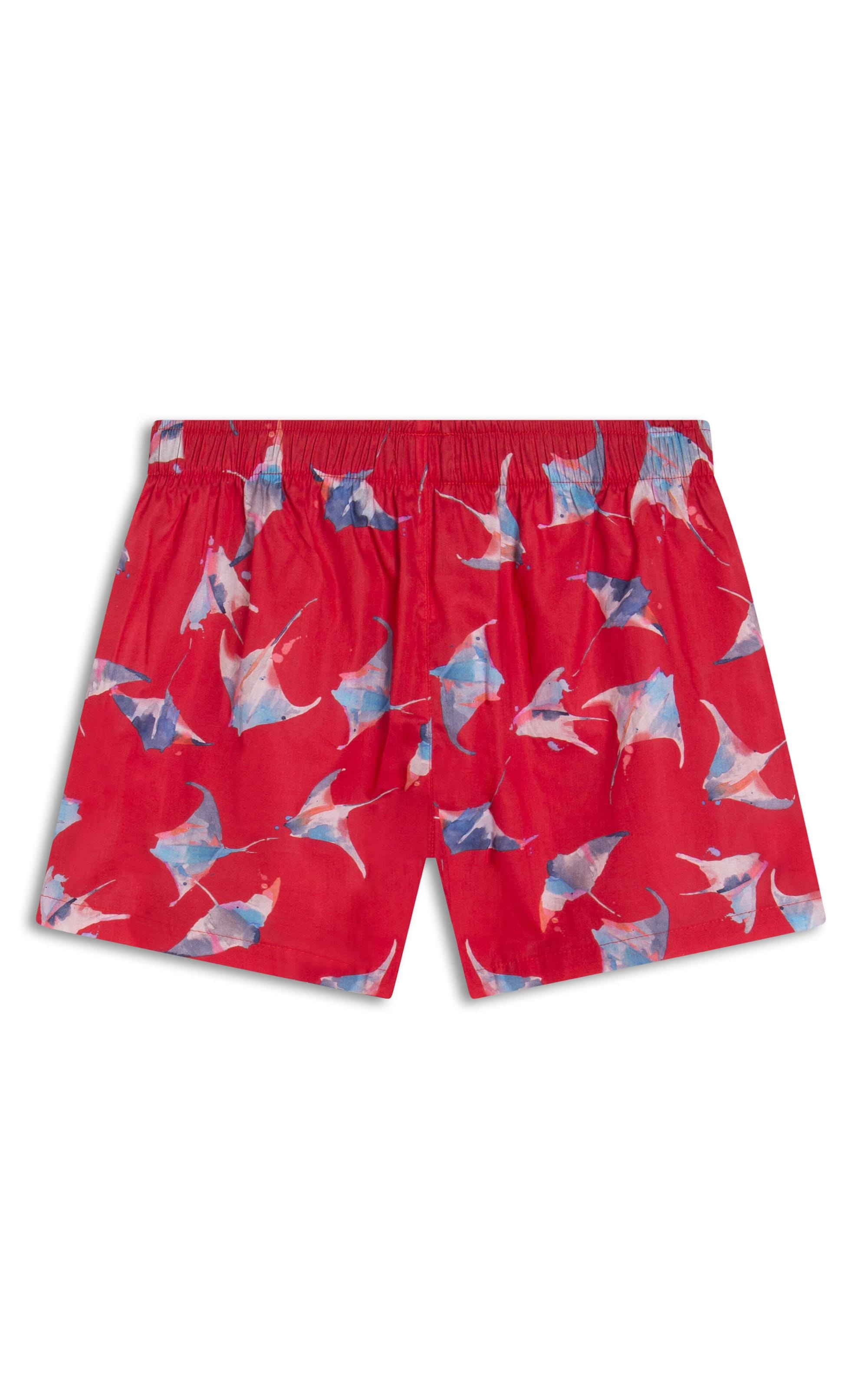 Boxer Algodão Est Arraia Cereja