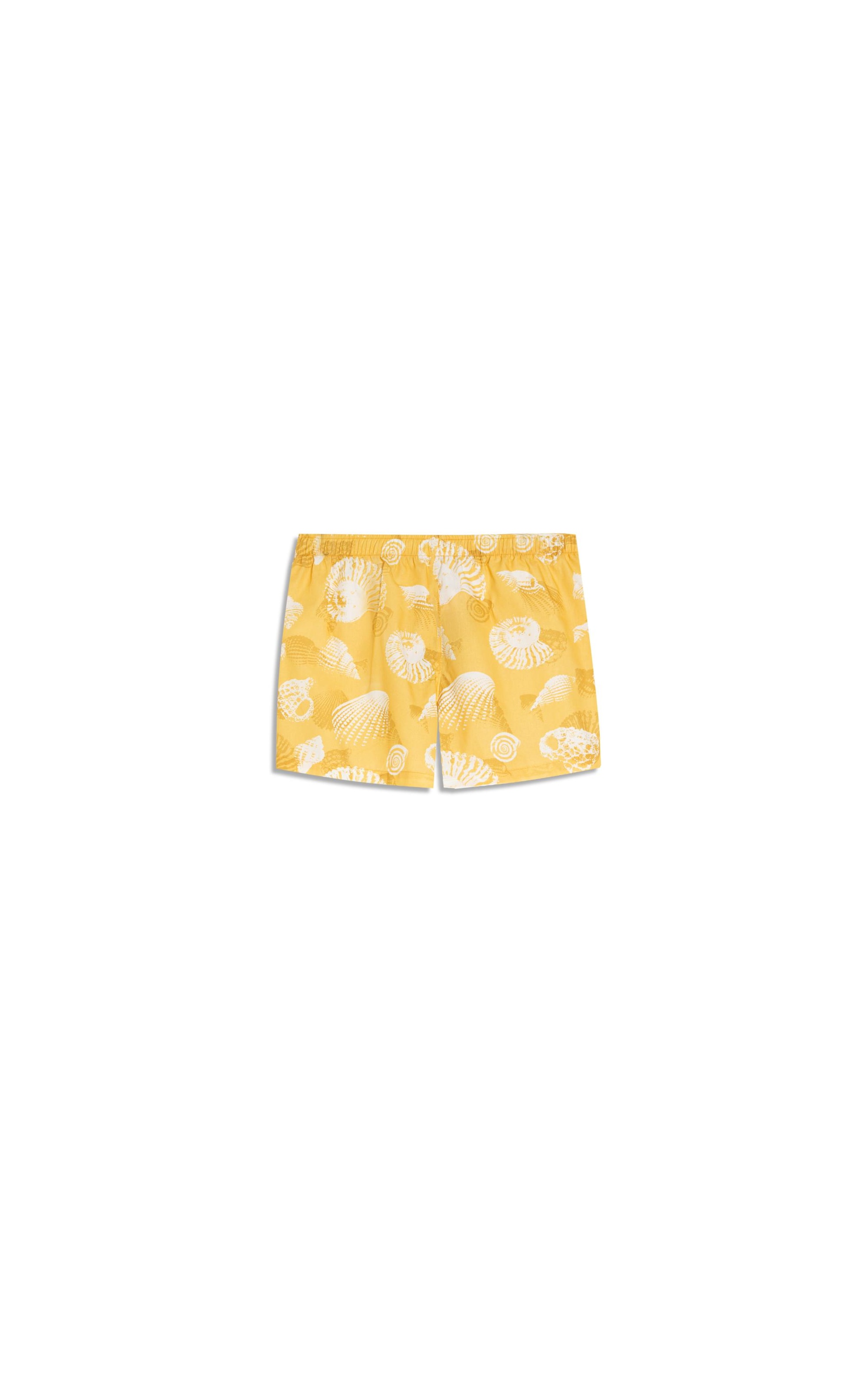 Boxer Algodão Est Shell Amarelo