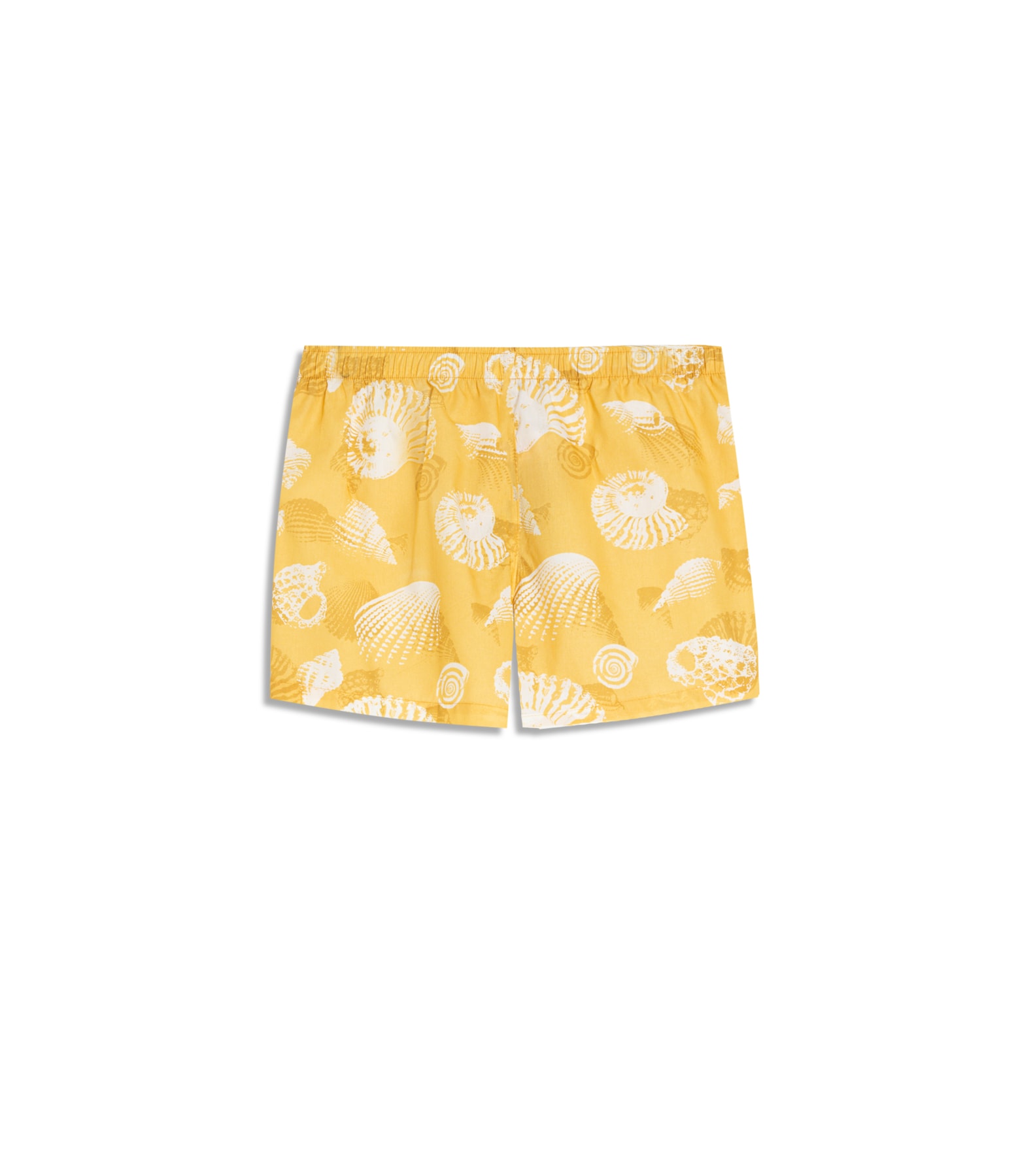 Boxer Algodão Est Shell Amarelo