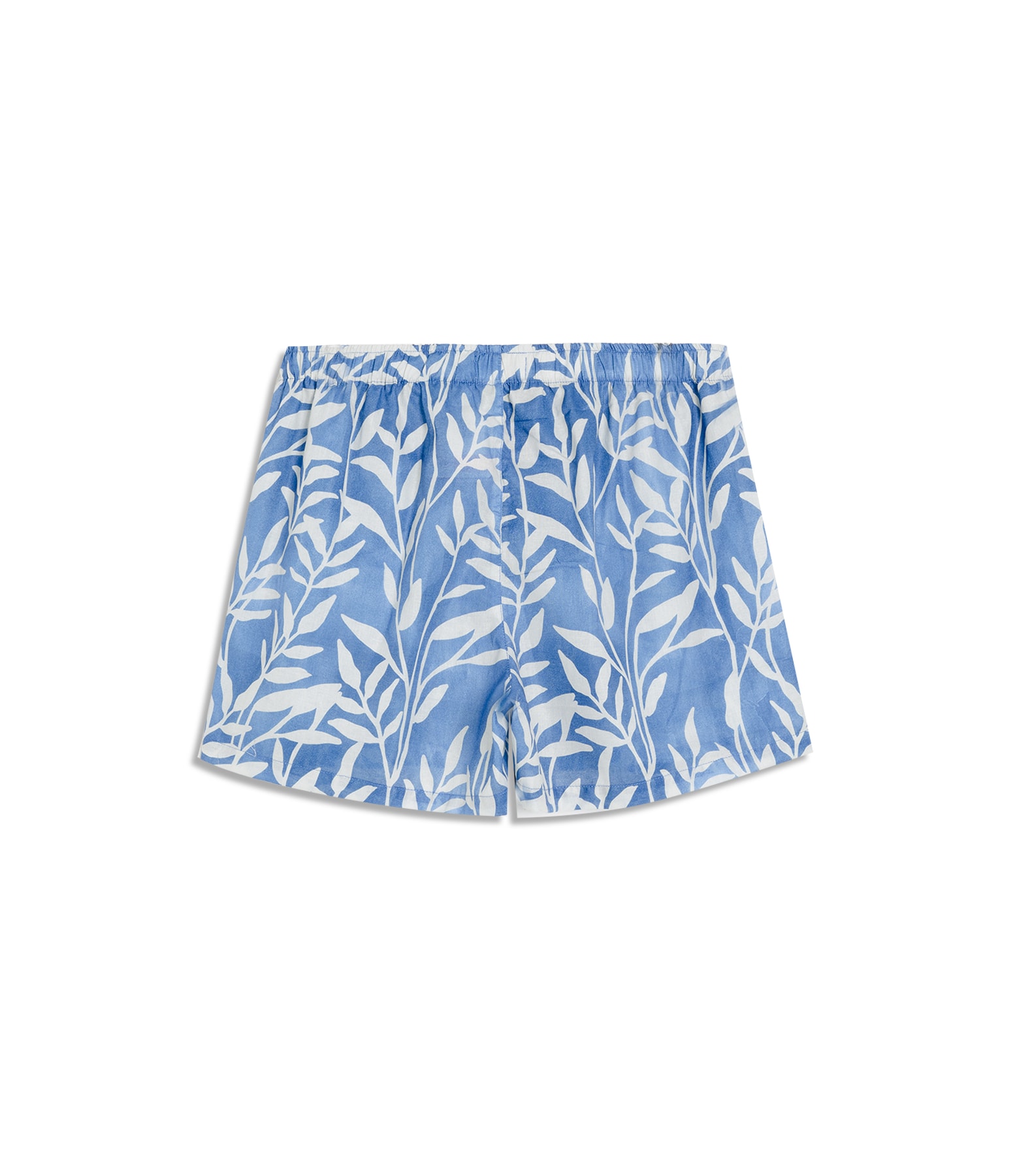 Boxer Algodao Seaweed Azul Bic