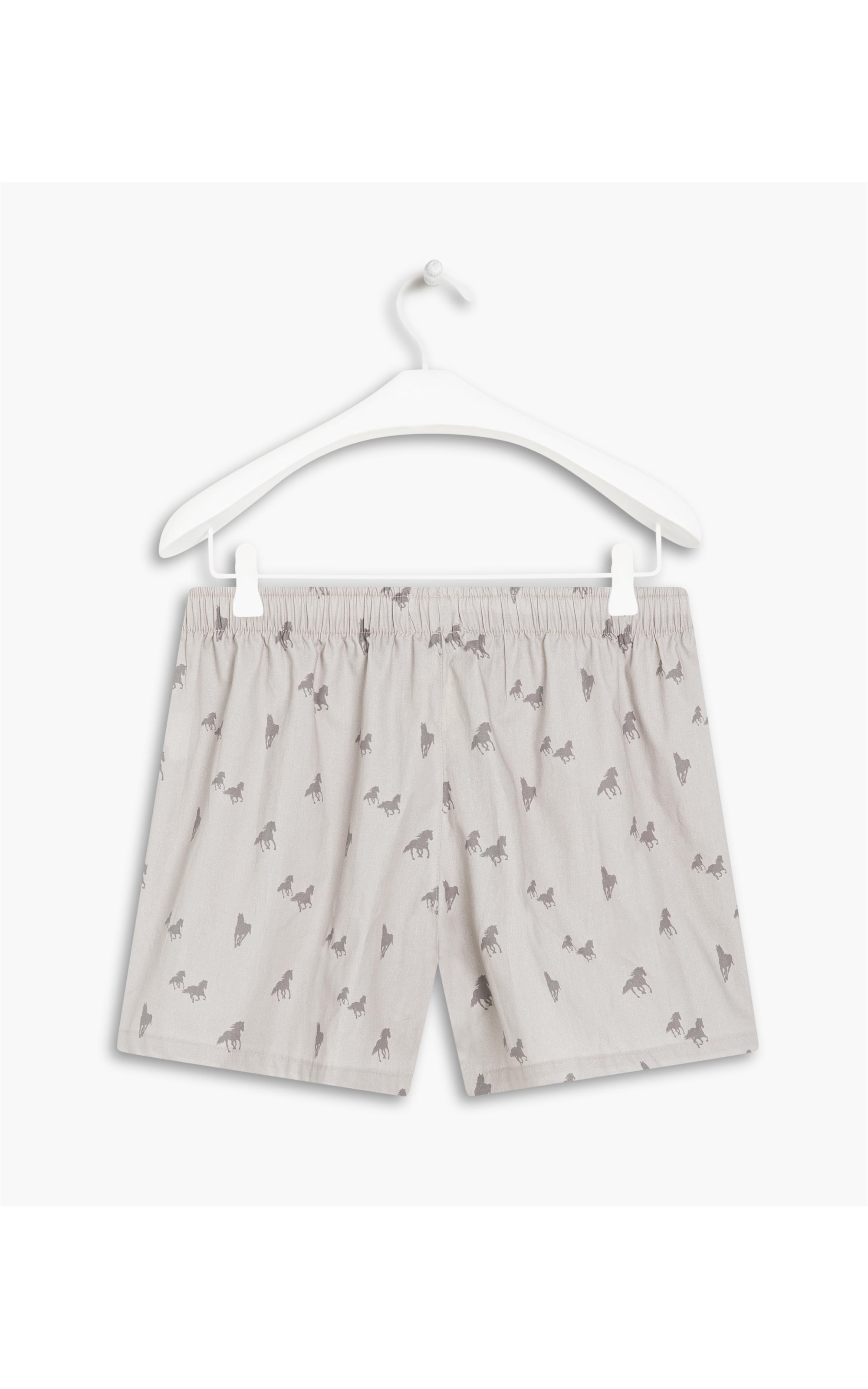 Boxer Cavalos Caqui