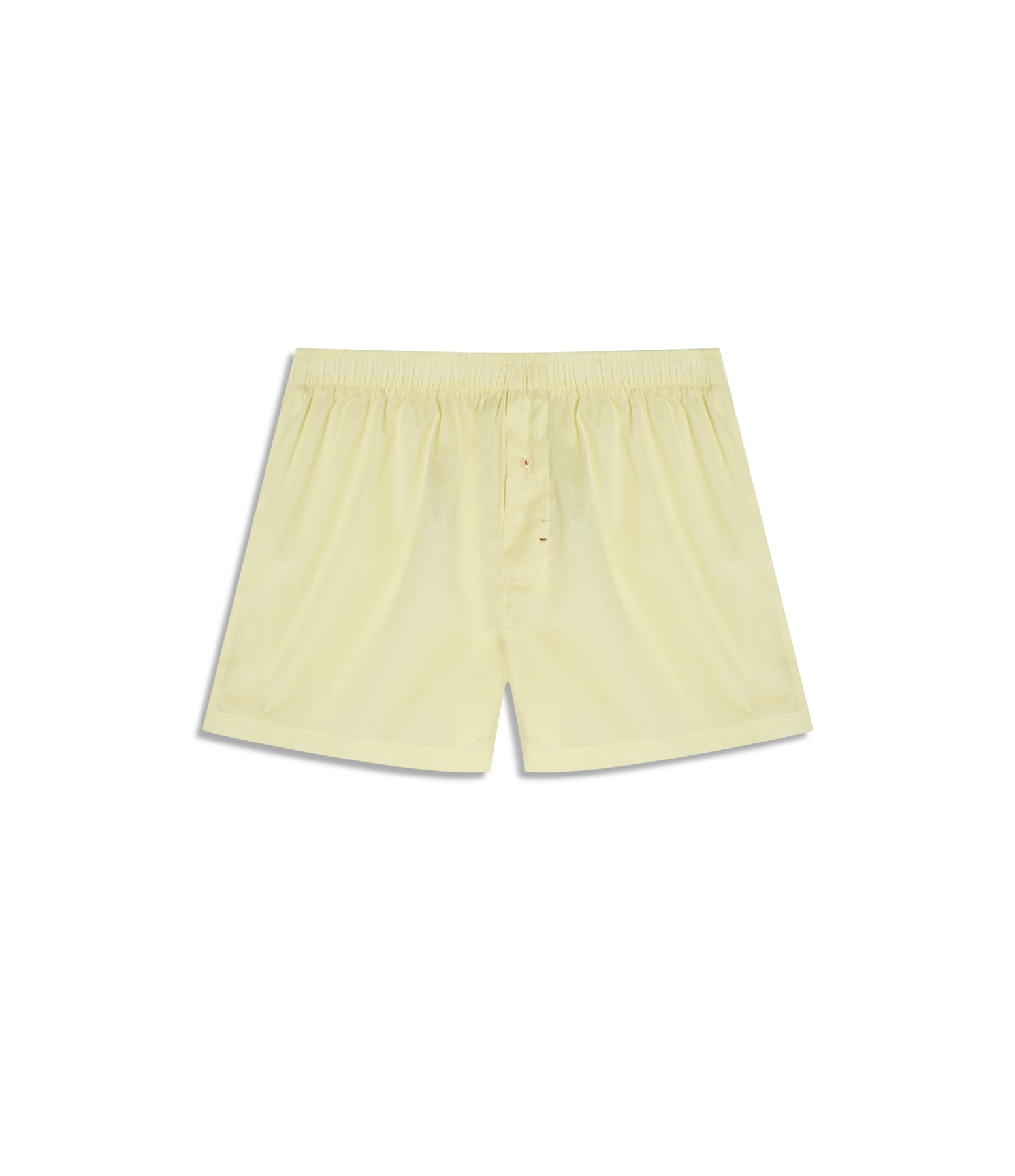 Boxer  Lisa Amarelo Limao