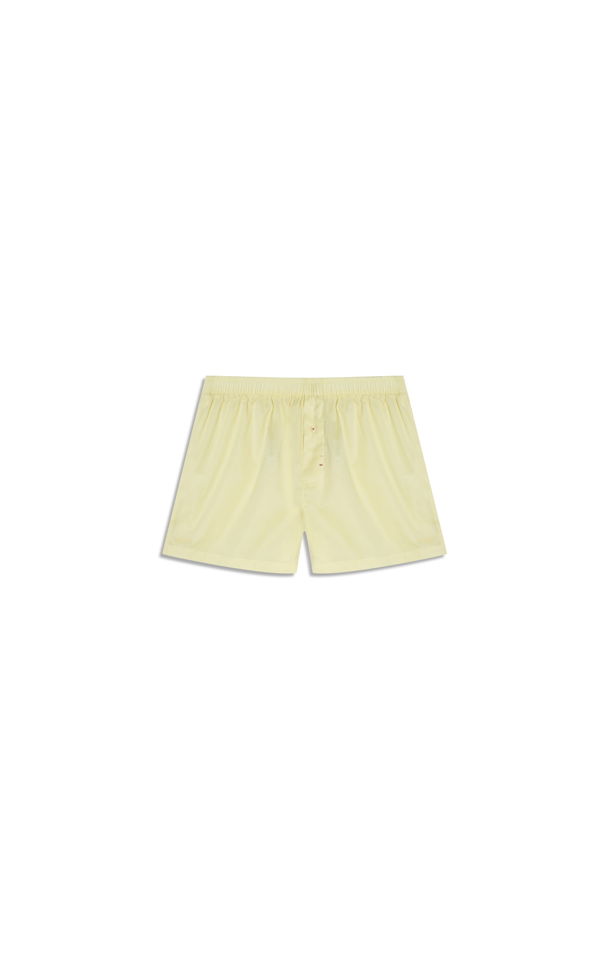 Boxer  Lisa Amarelo Limao