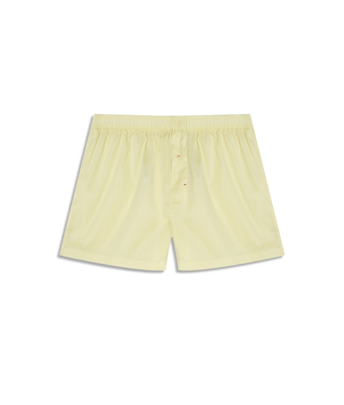 Boxer  Lisa Amarelo Limao