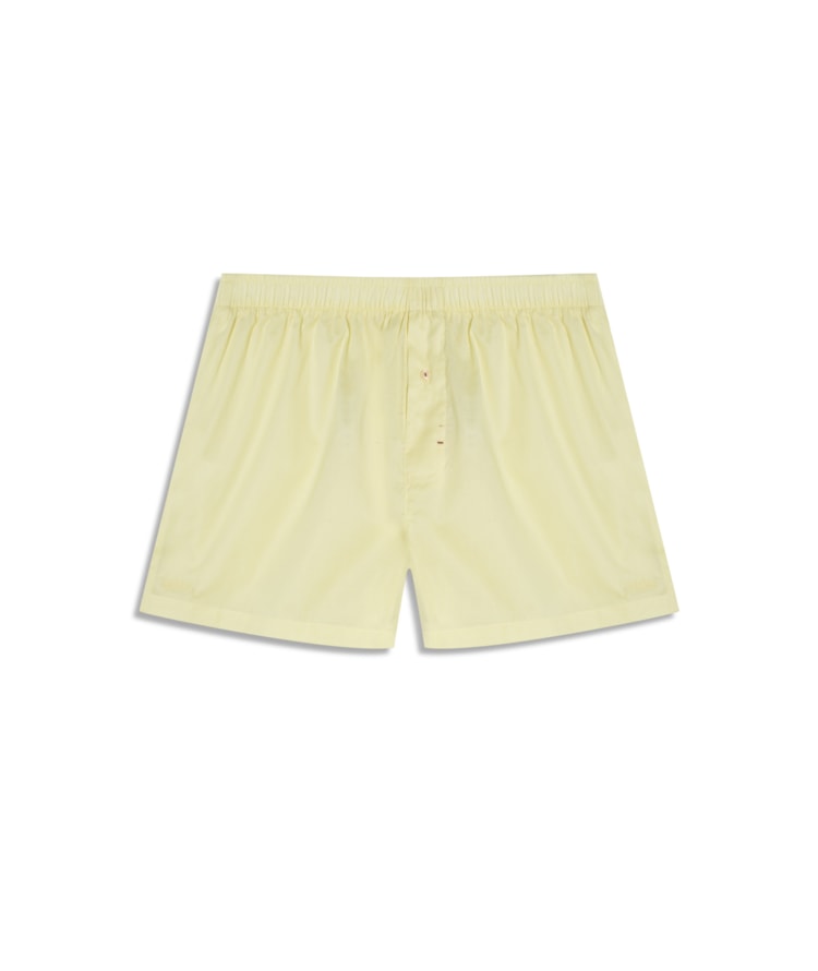 Boxer  Lisa Amarelo Limao