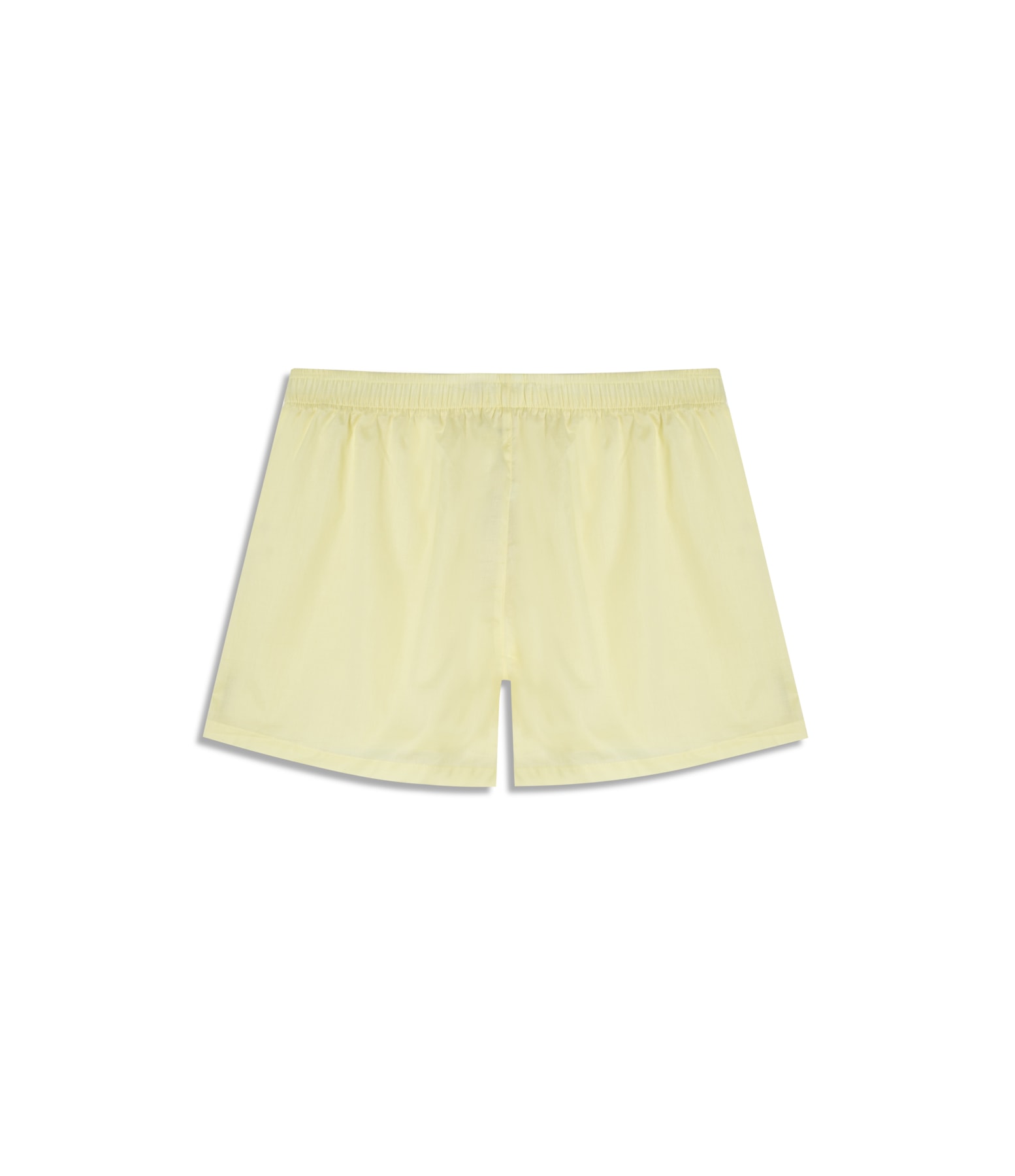 Boxer  Lisa Amarelo Limao