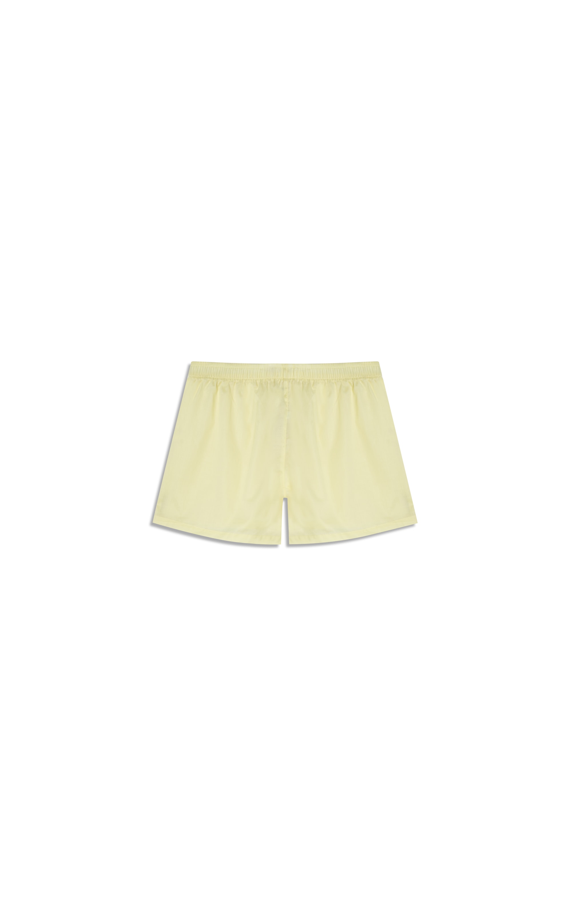 Boxer  Lisa Amarelo Limao