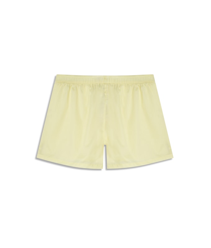 Boxer  Lisa Amarelo Limao