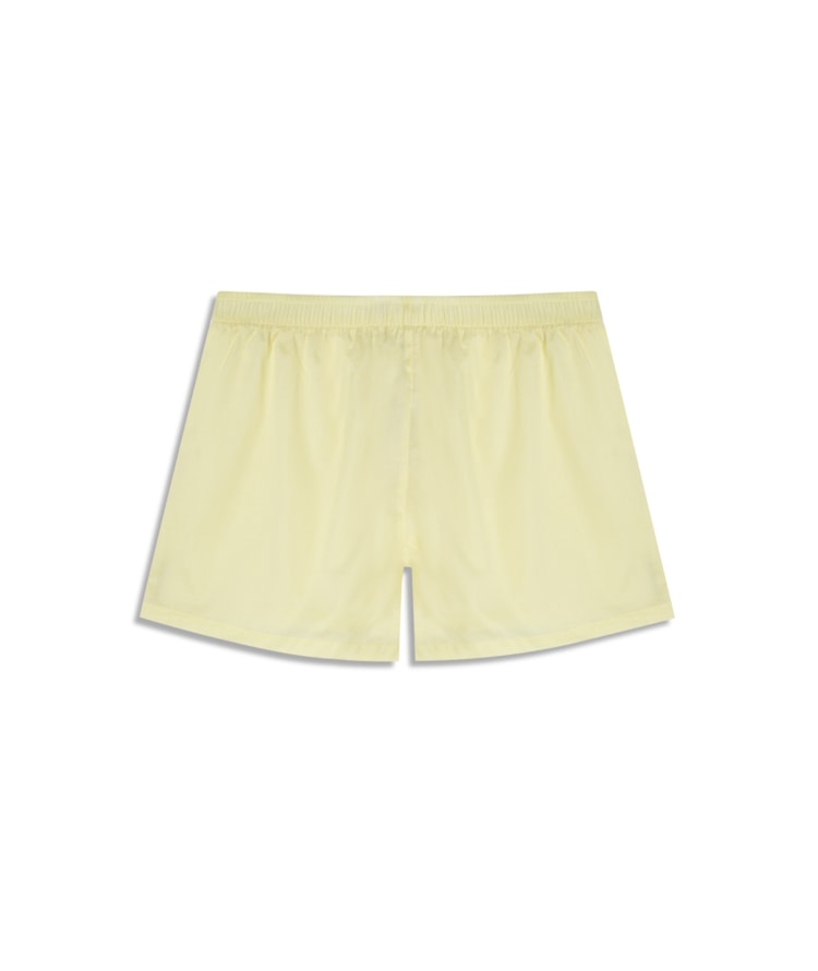 Boxer  Lisa Amarelo Limao