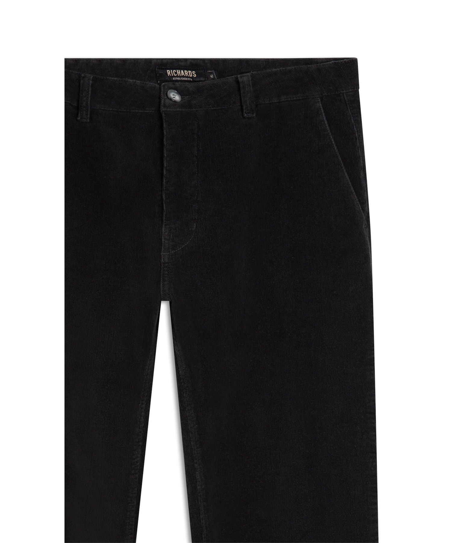 Calça Chino Veludo  Plumbo