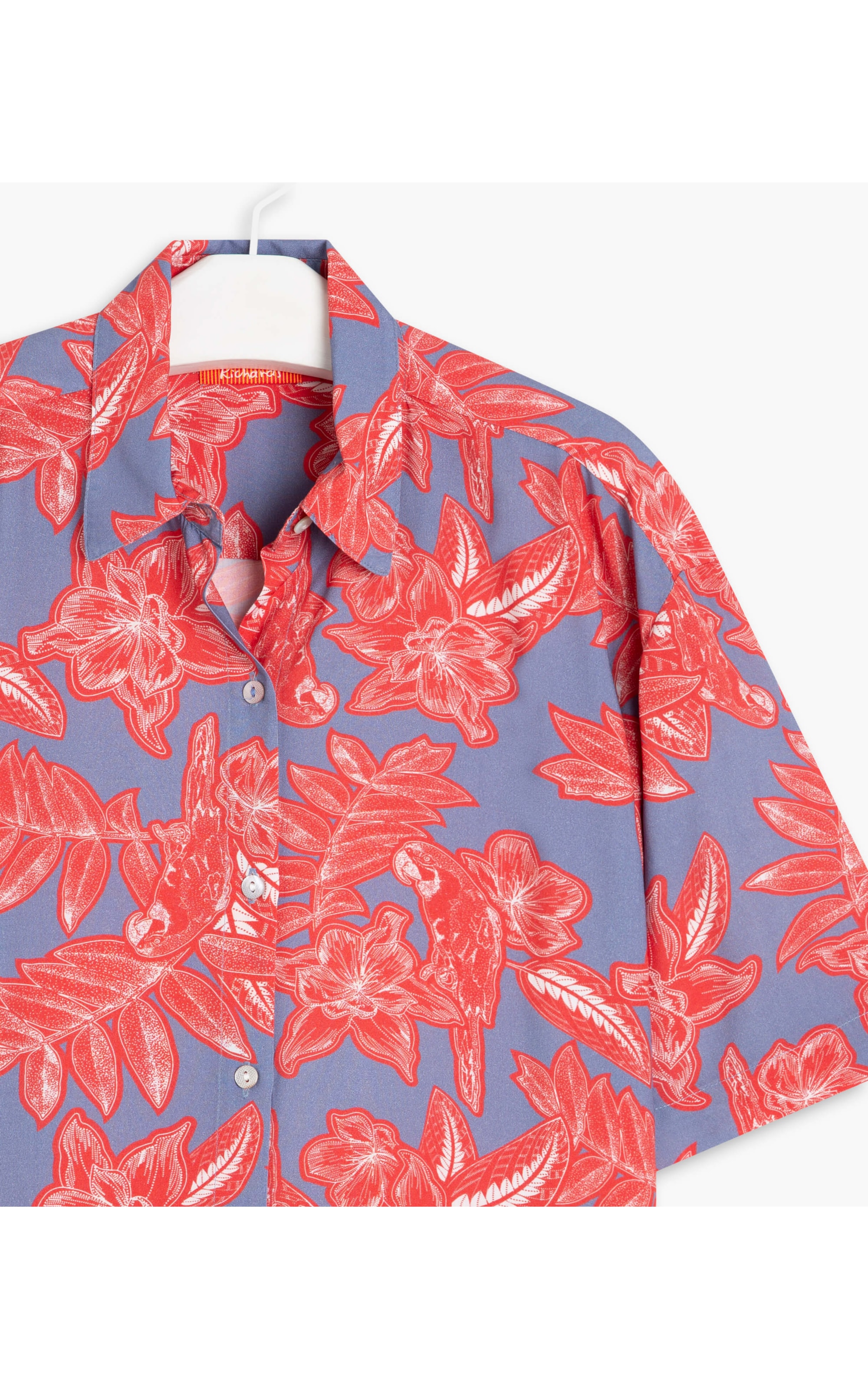 Camisa Ceci Macaw Viscose Azul Pervante