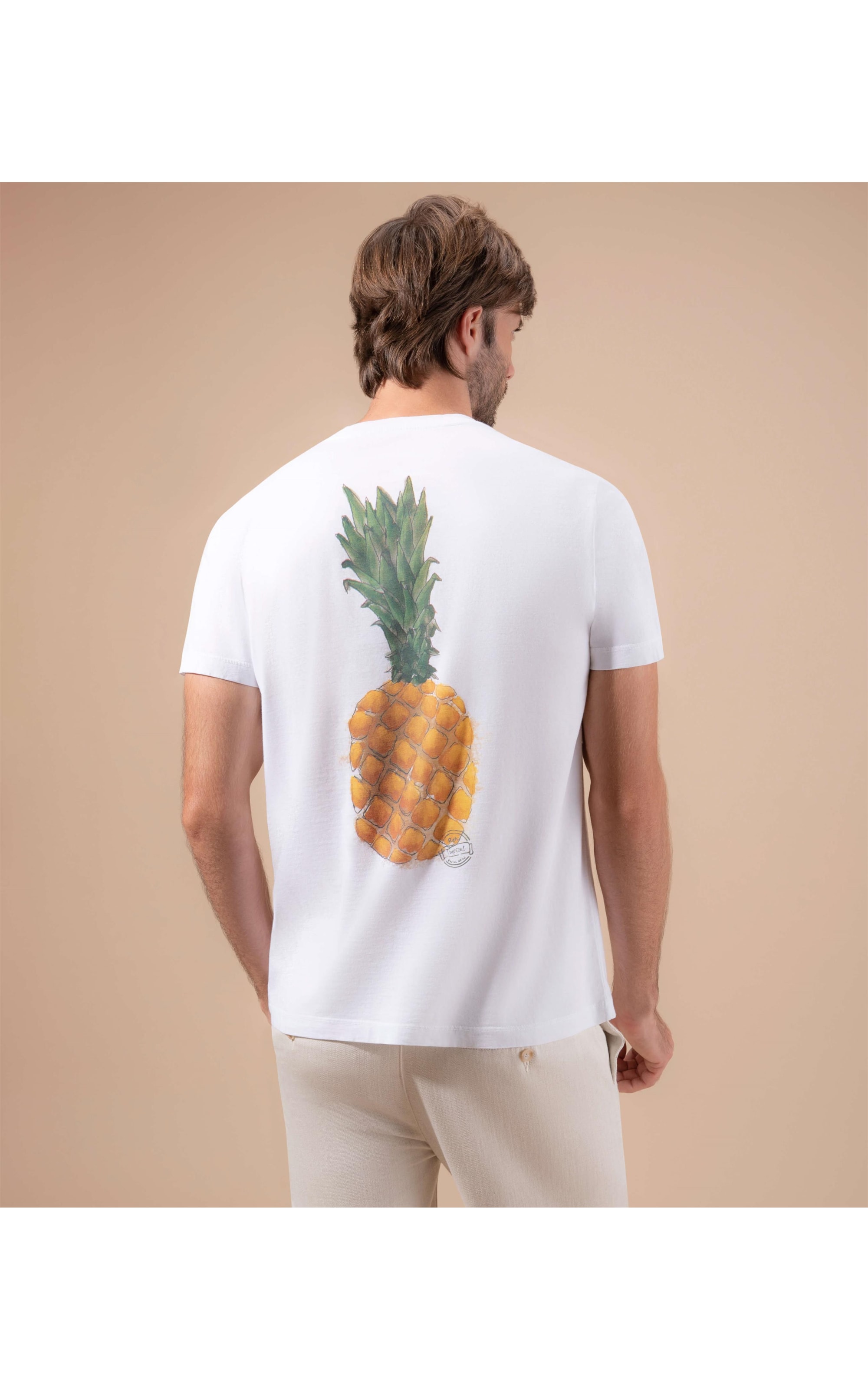 Camisa Oxford Stretch Ml Branco