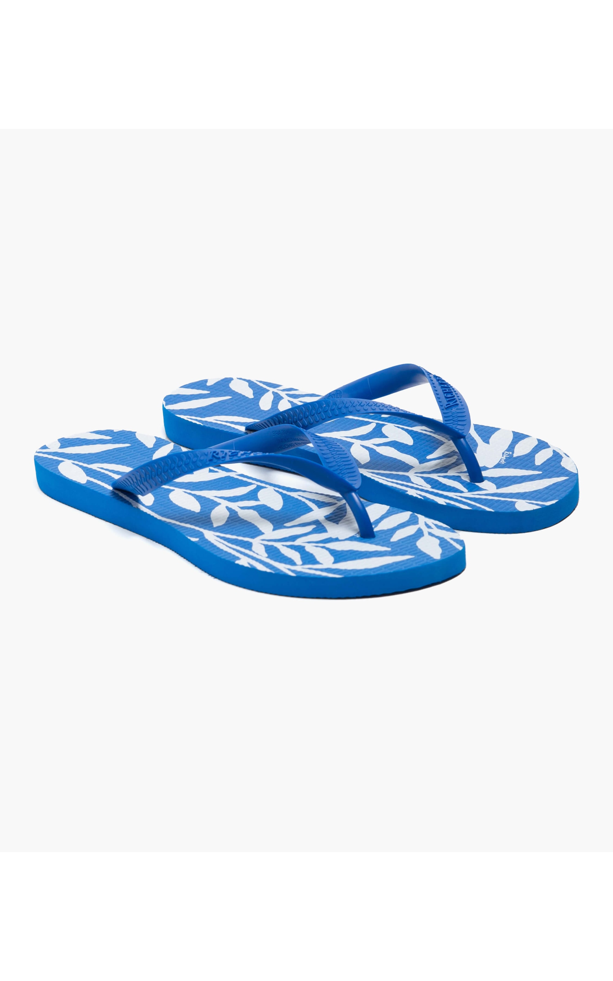 Chinelo Seaweed Royal