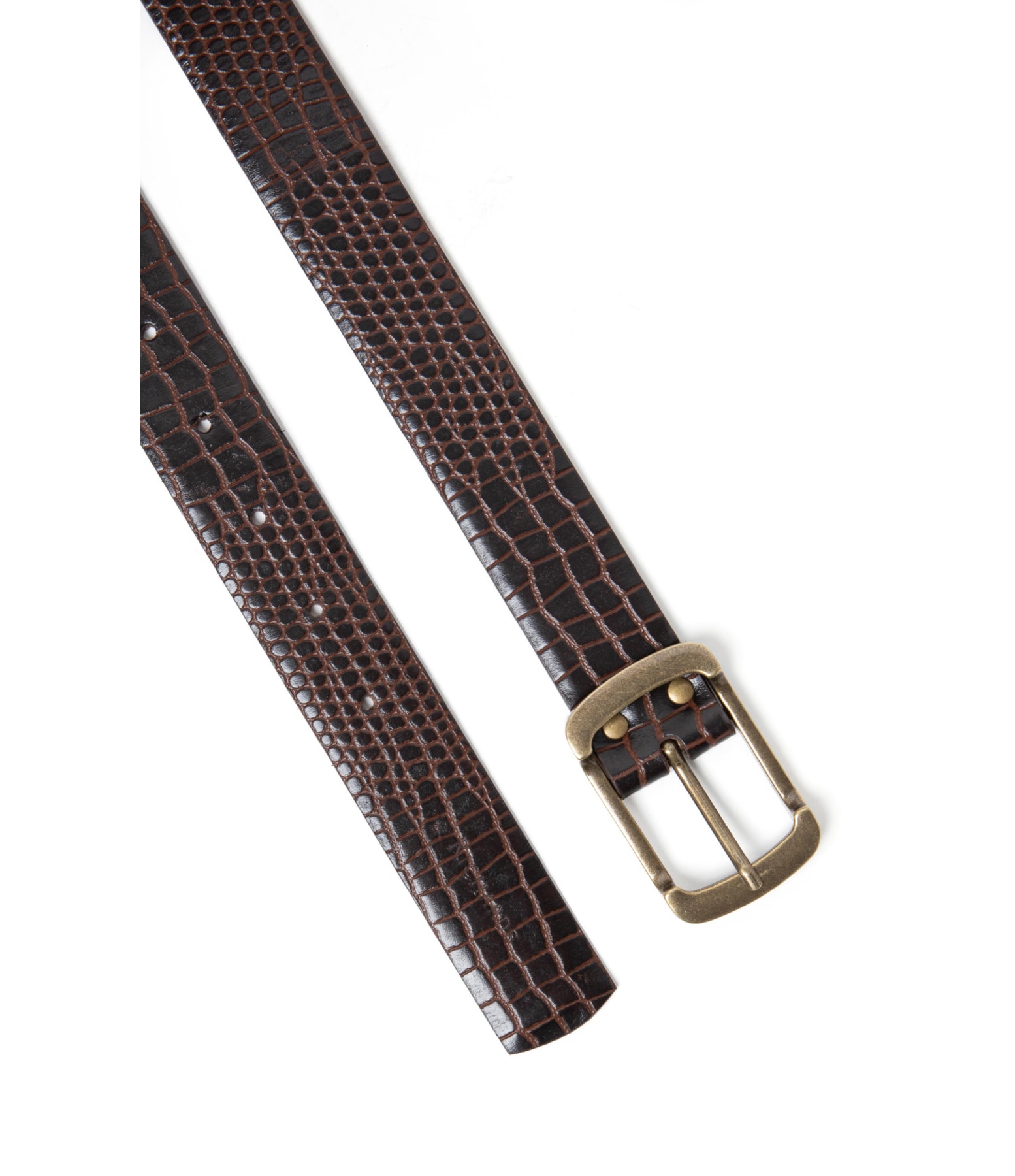 Cinto Croco Rch Cafe