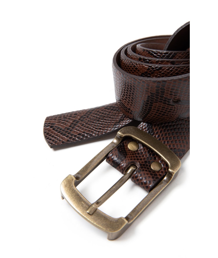 Cinto Python Rch Cafe