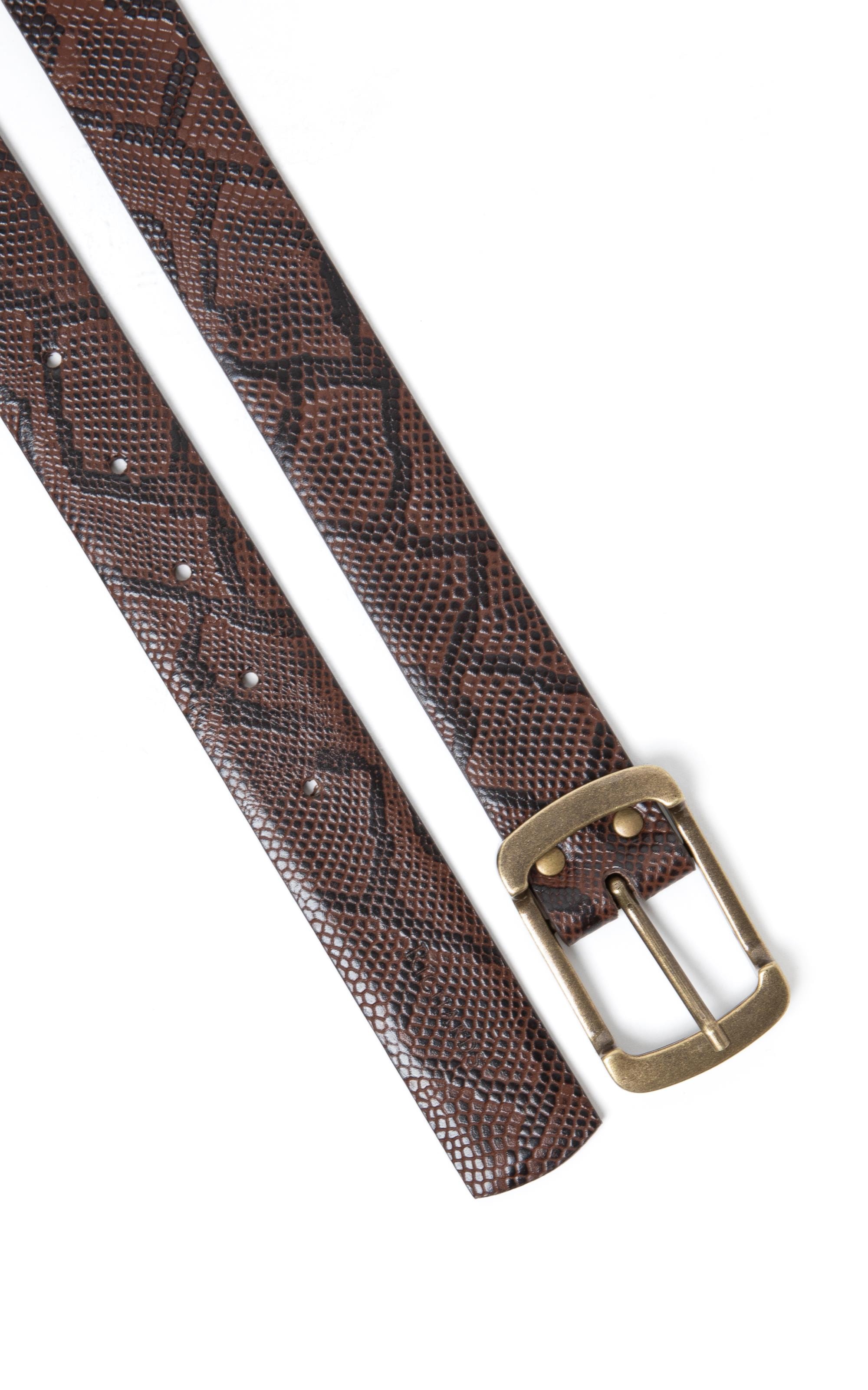 Cinto Python Rch Cafe