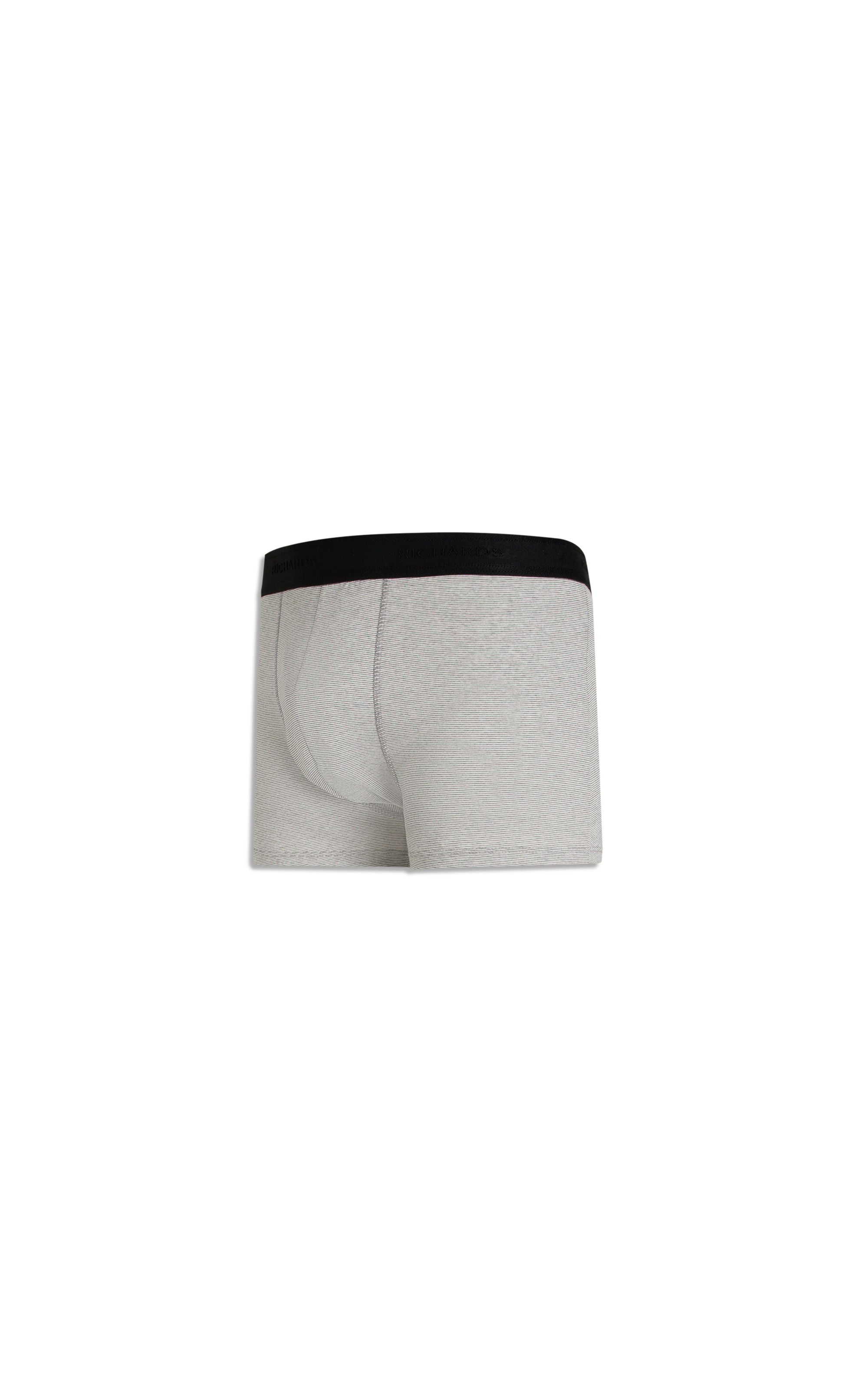 Cueca Truck Leve Rch Padrao 2