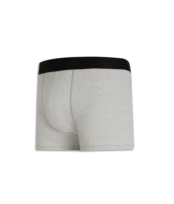 Cueca Truck Leve Rch Padrao 2