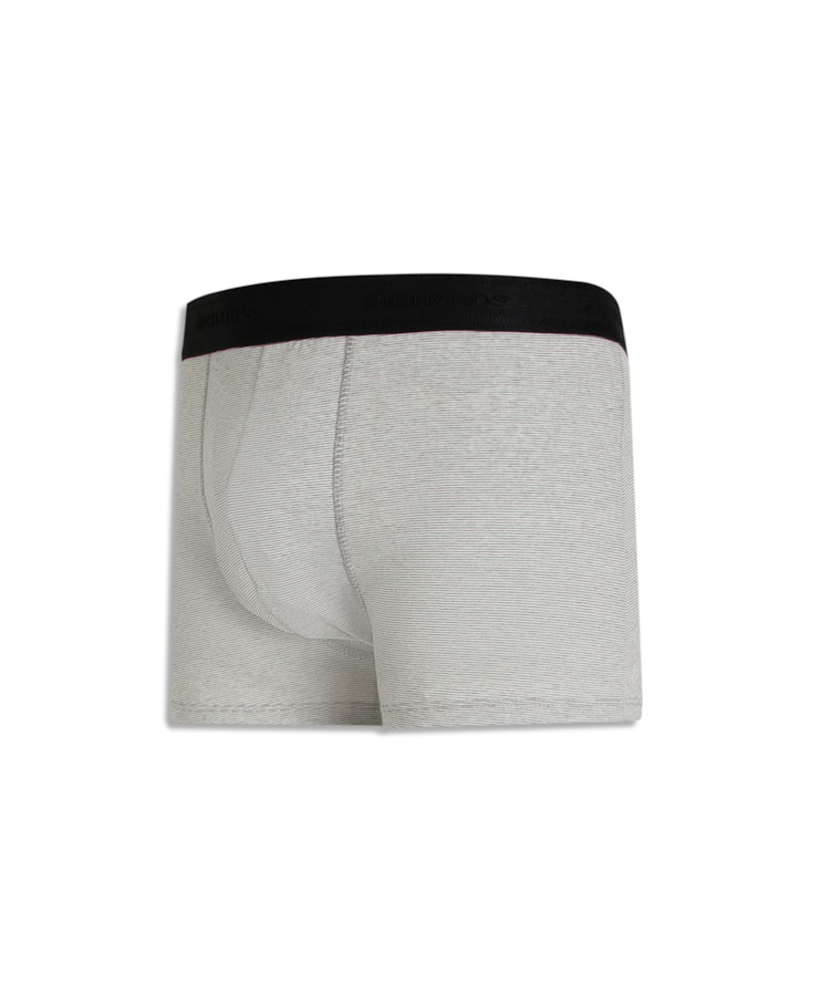 Cueca Truck Leve Rch Padrao 2