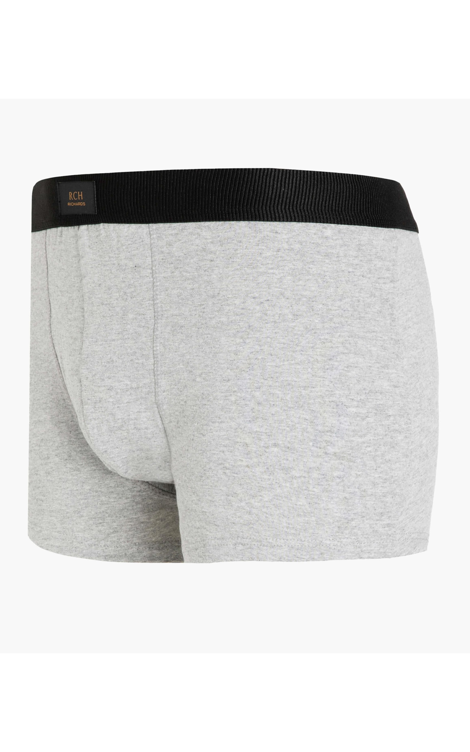 Cueca Trunk New Cinza Mescla