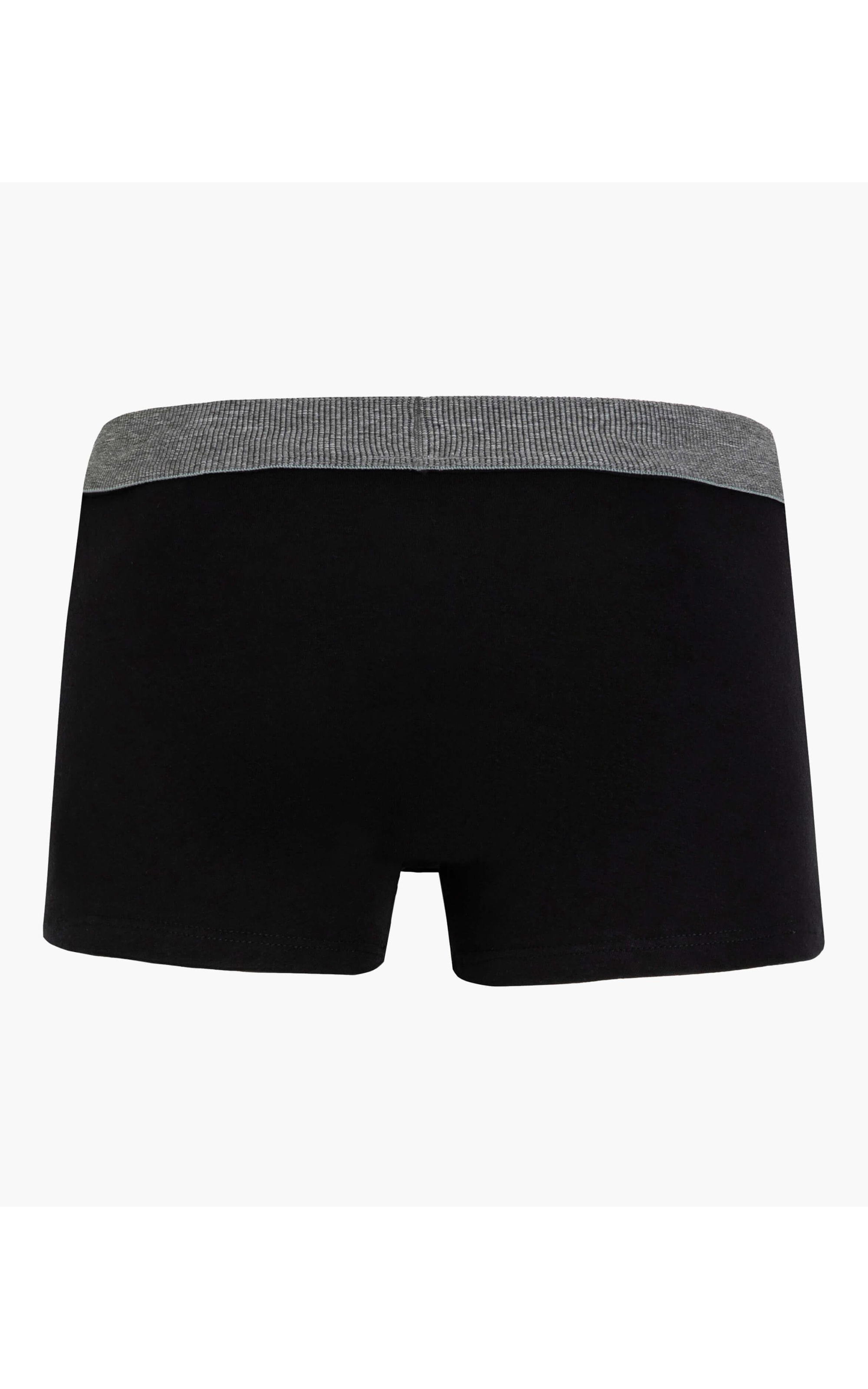 Cueca Trunk New Preto