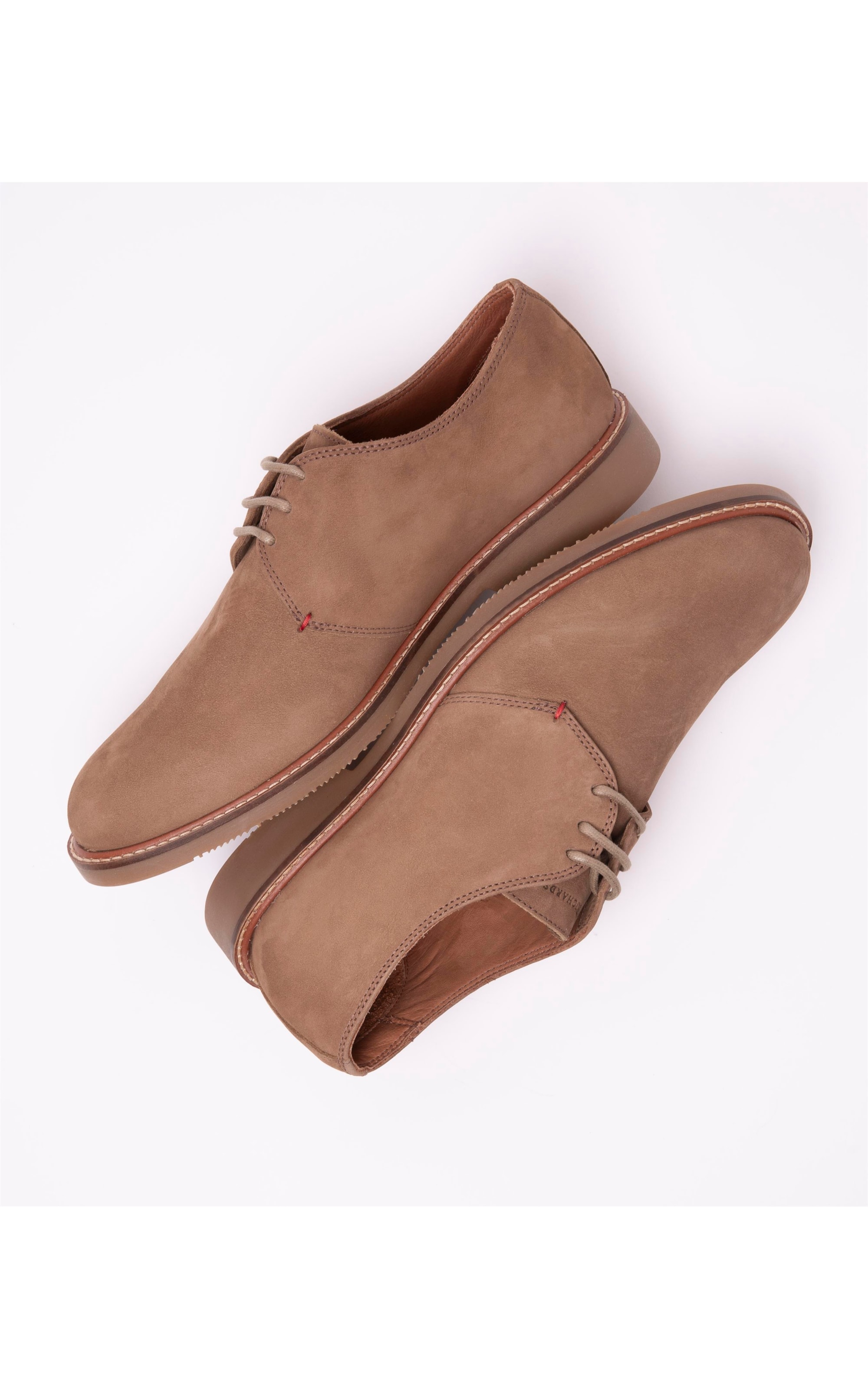 Derby Basic Areia