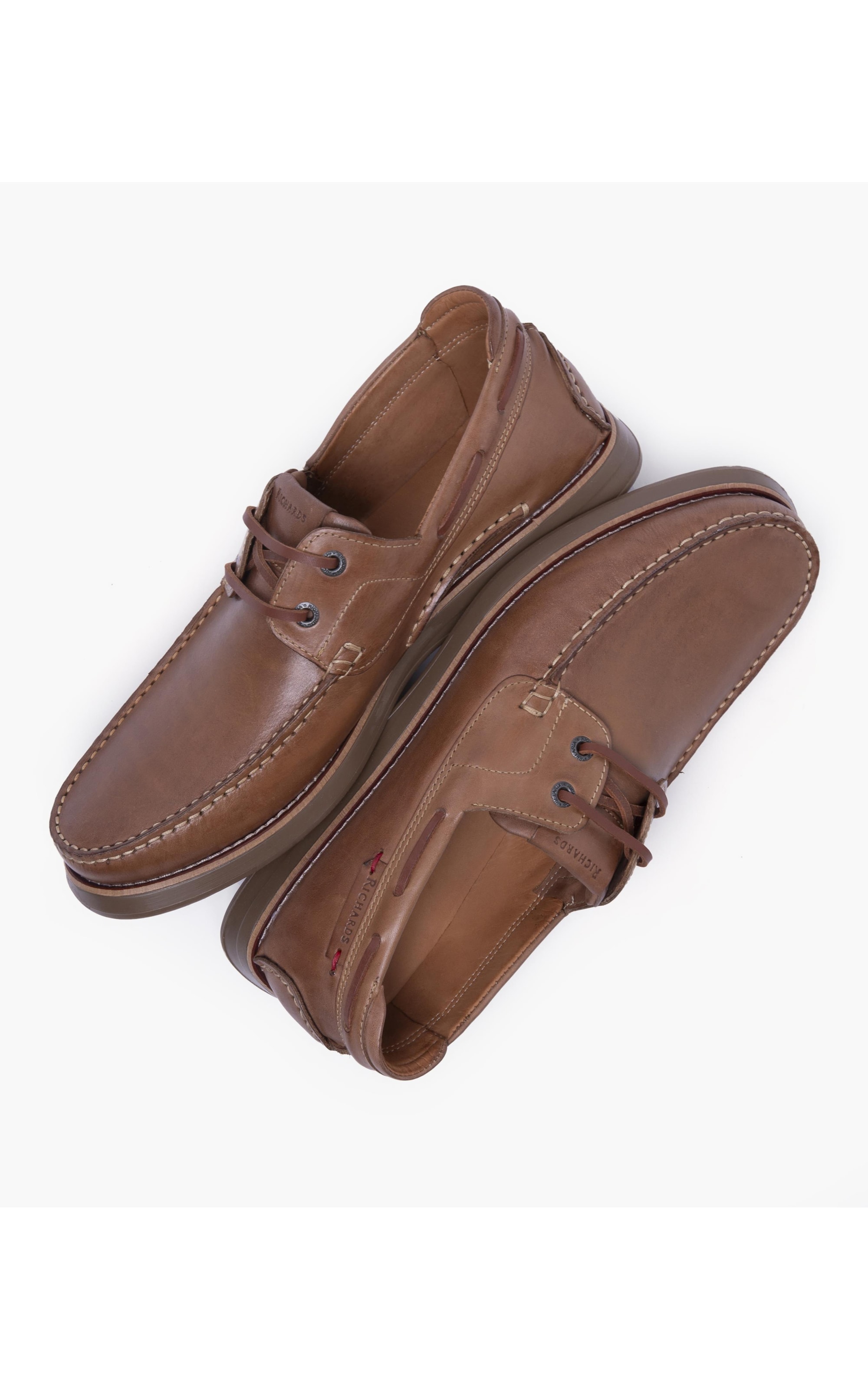 Sider Coast  Camel