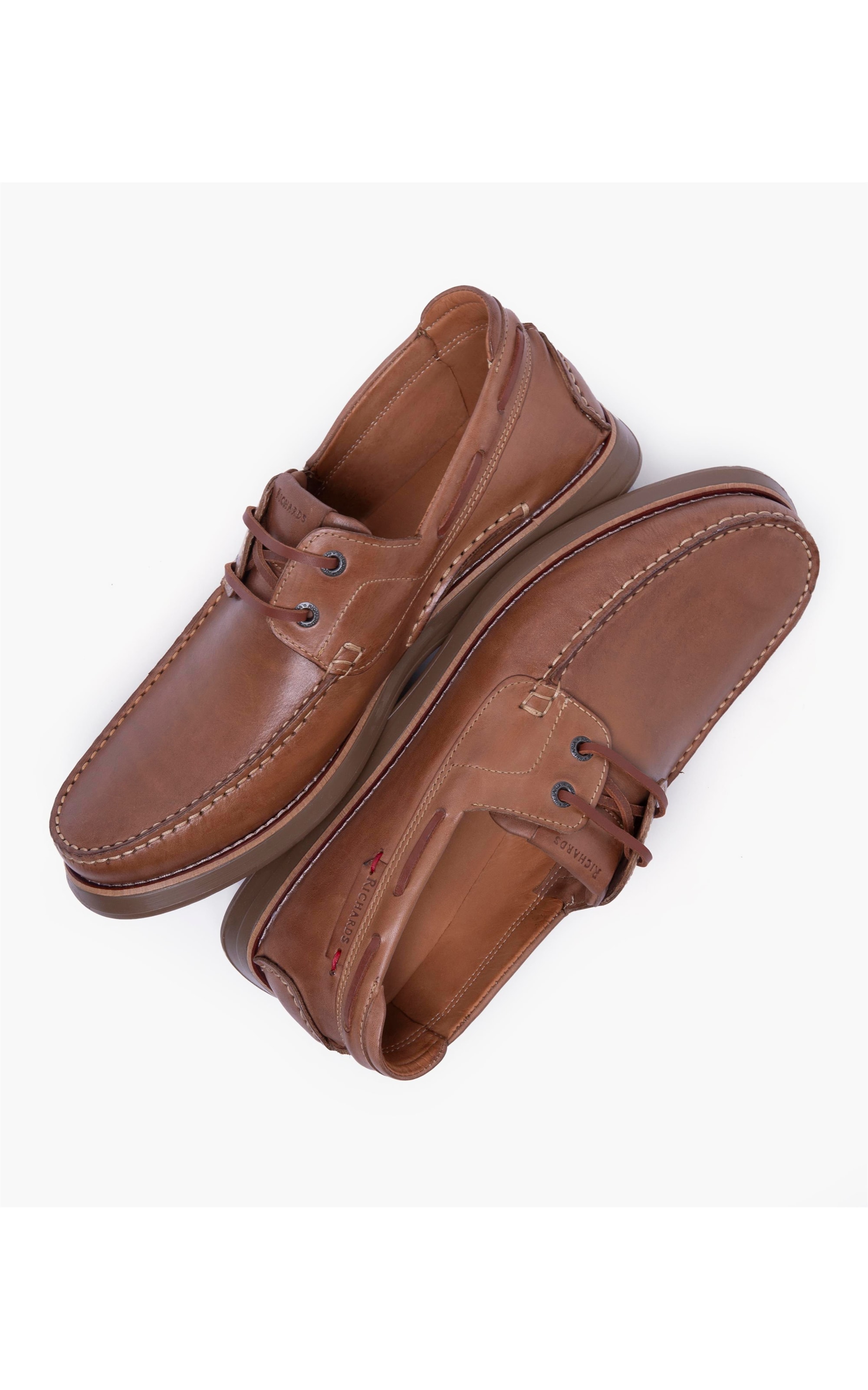 Sider Coast  Camel