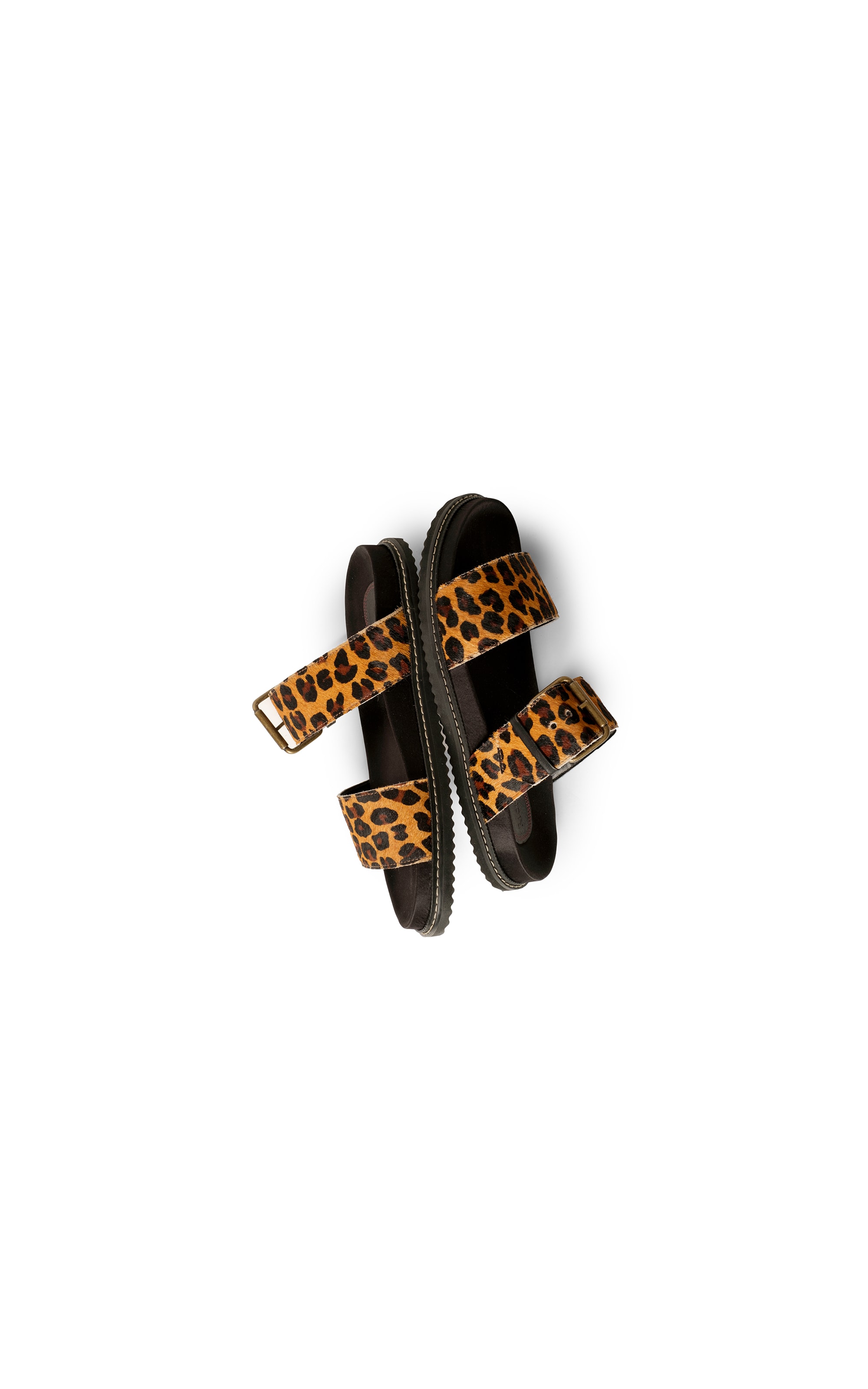 Slide Feline Flair Rch Preto