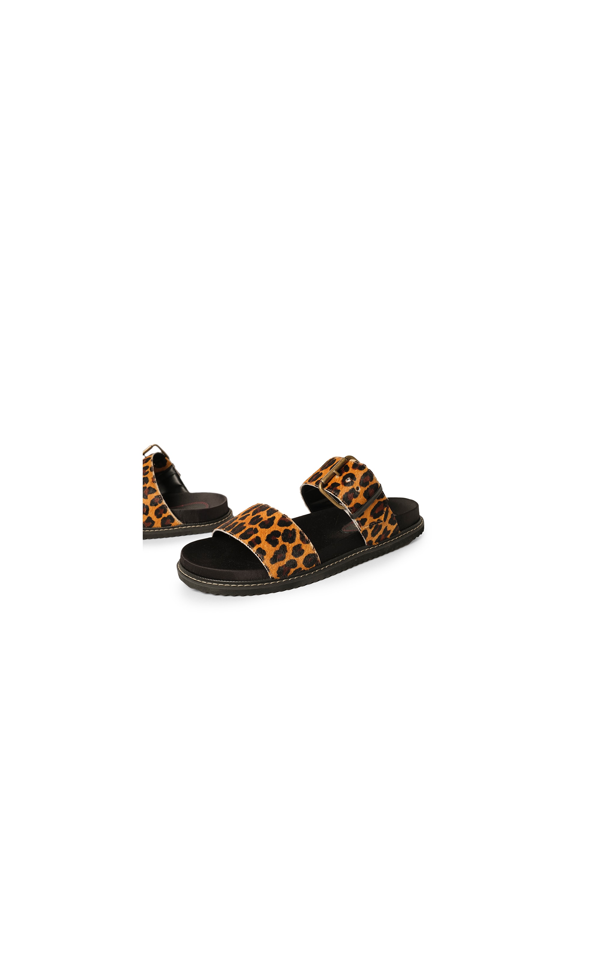 Slide Feline Flair Rch Preto