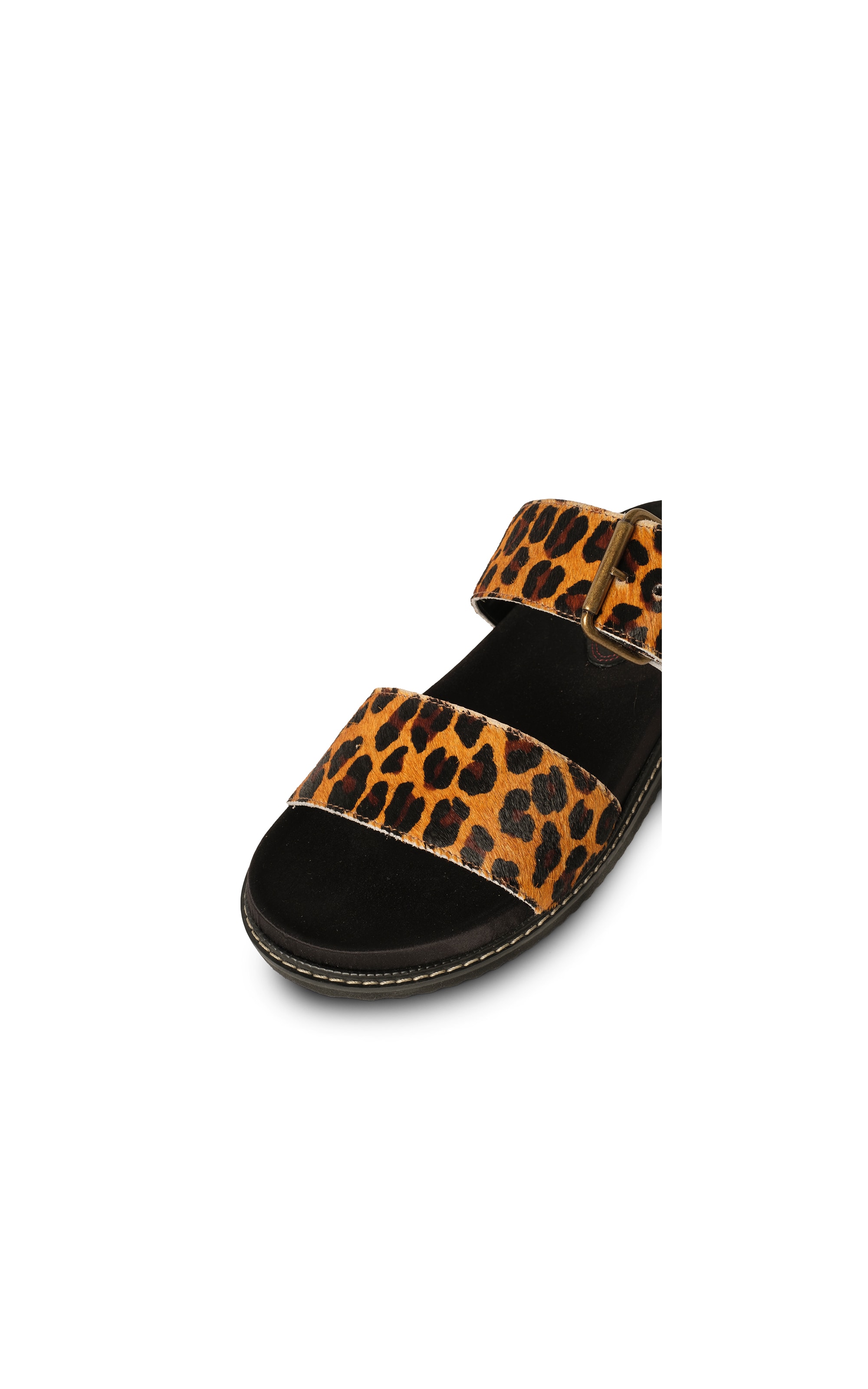 Slide Feline Flair Rch Preto