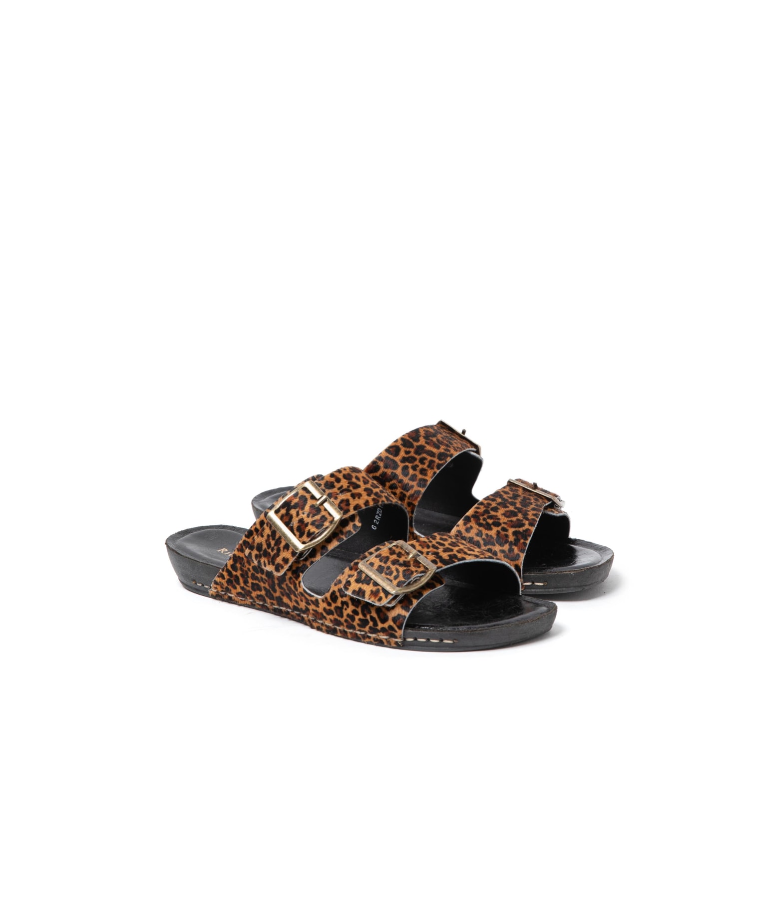 Slide Feline Rch Padrao 2