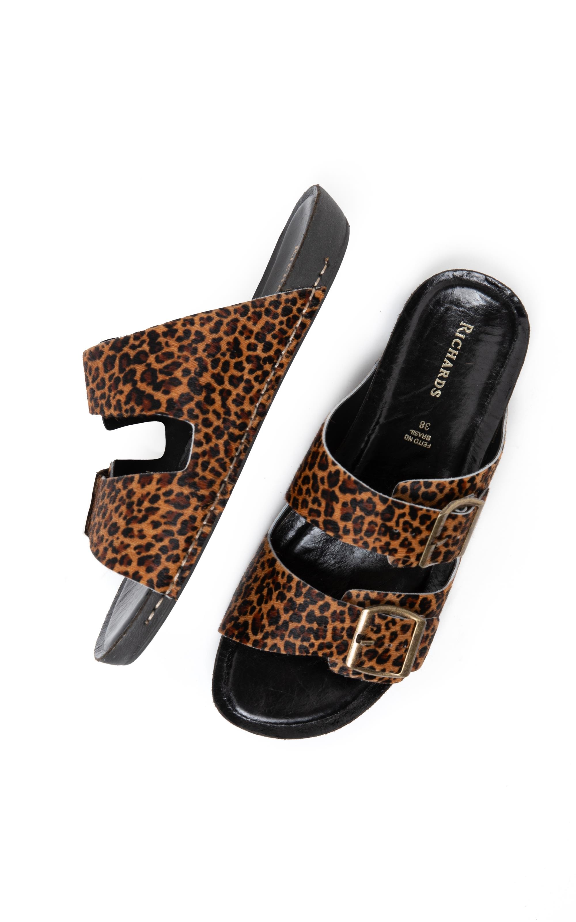 Slide Feline Rch Padrao 2