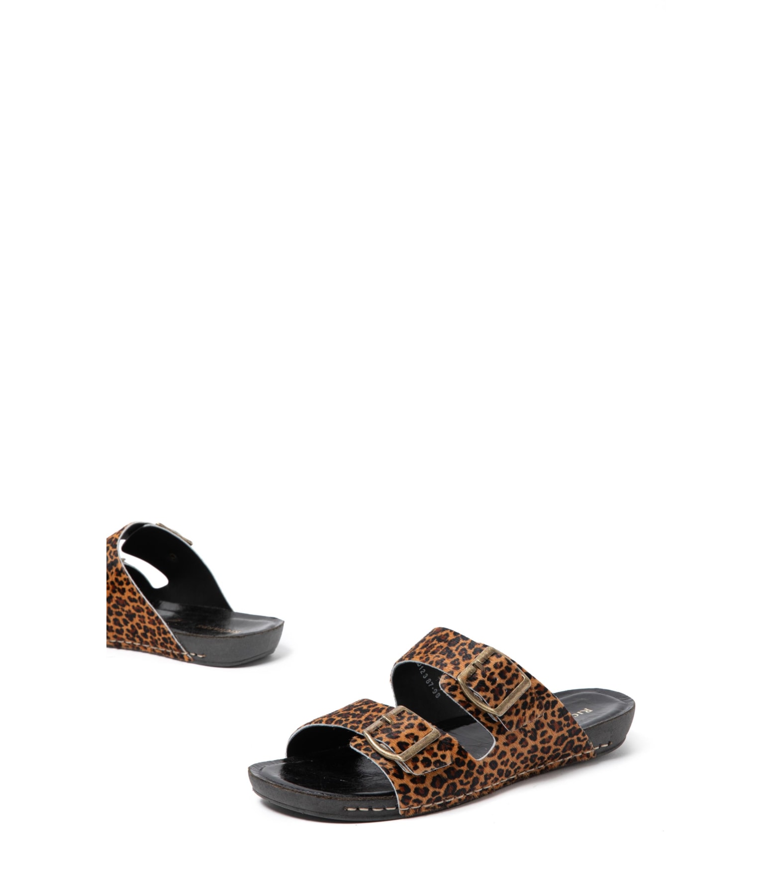 Slide Feline Rch Padrao 2