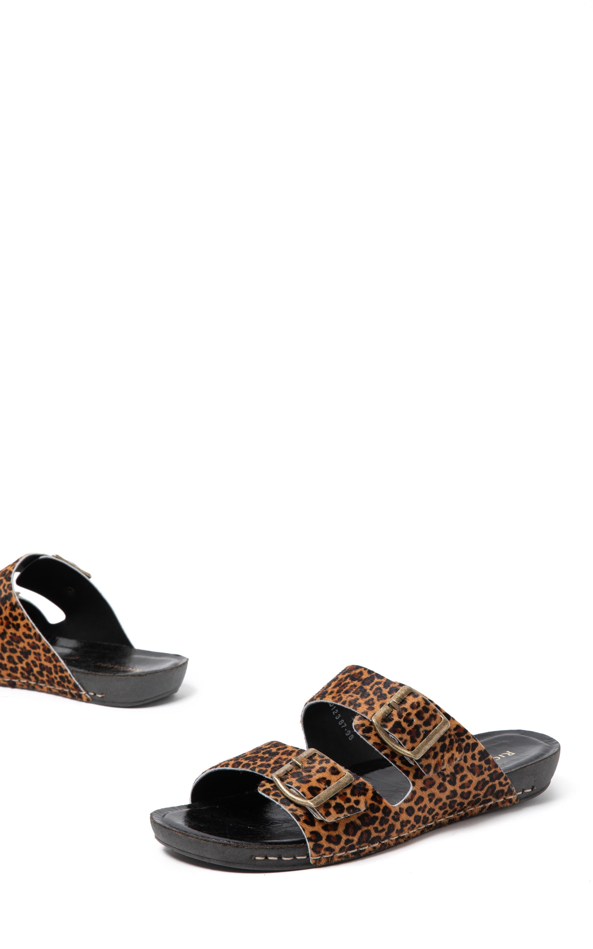 Slide Feline Rch Padrao 2