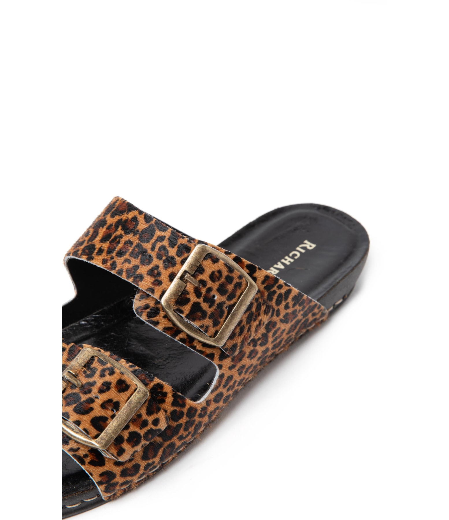 Slide Feline Rch Padrao 2