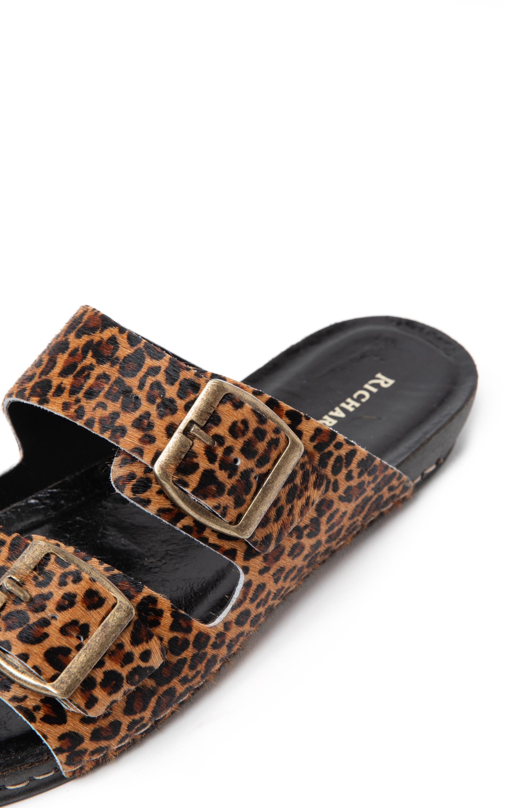 Slide Feline Rch Padrao 2