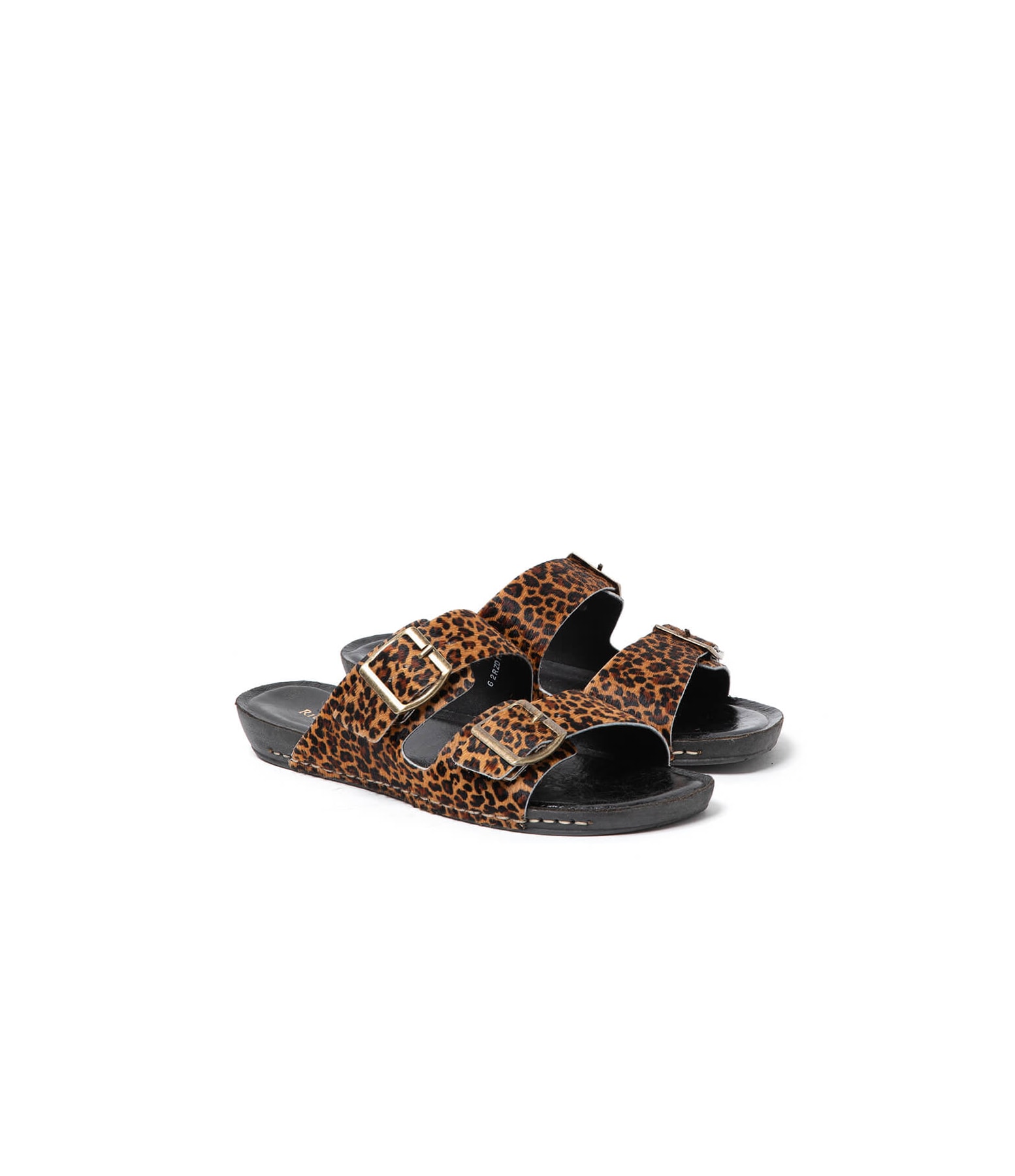 Slide Feline Rch Padrao 2