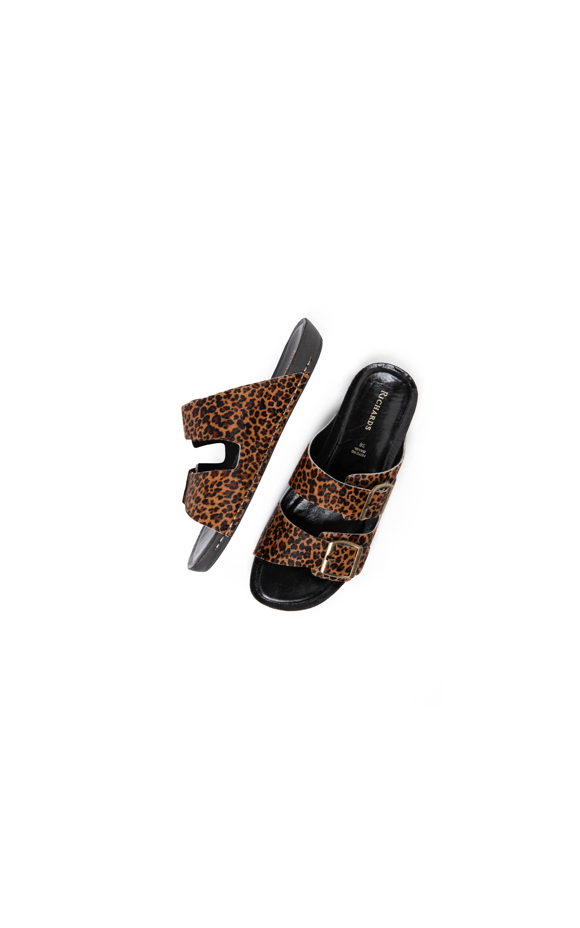 Slide Feline Rch Padrao 2