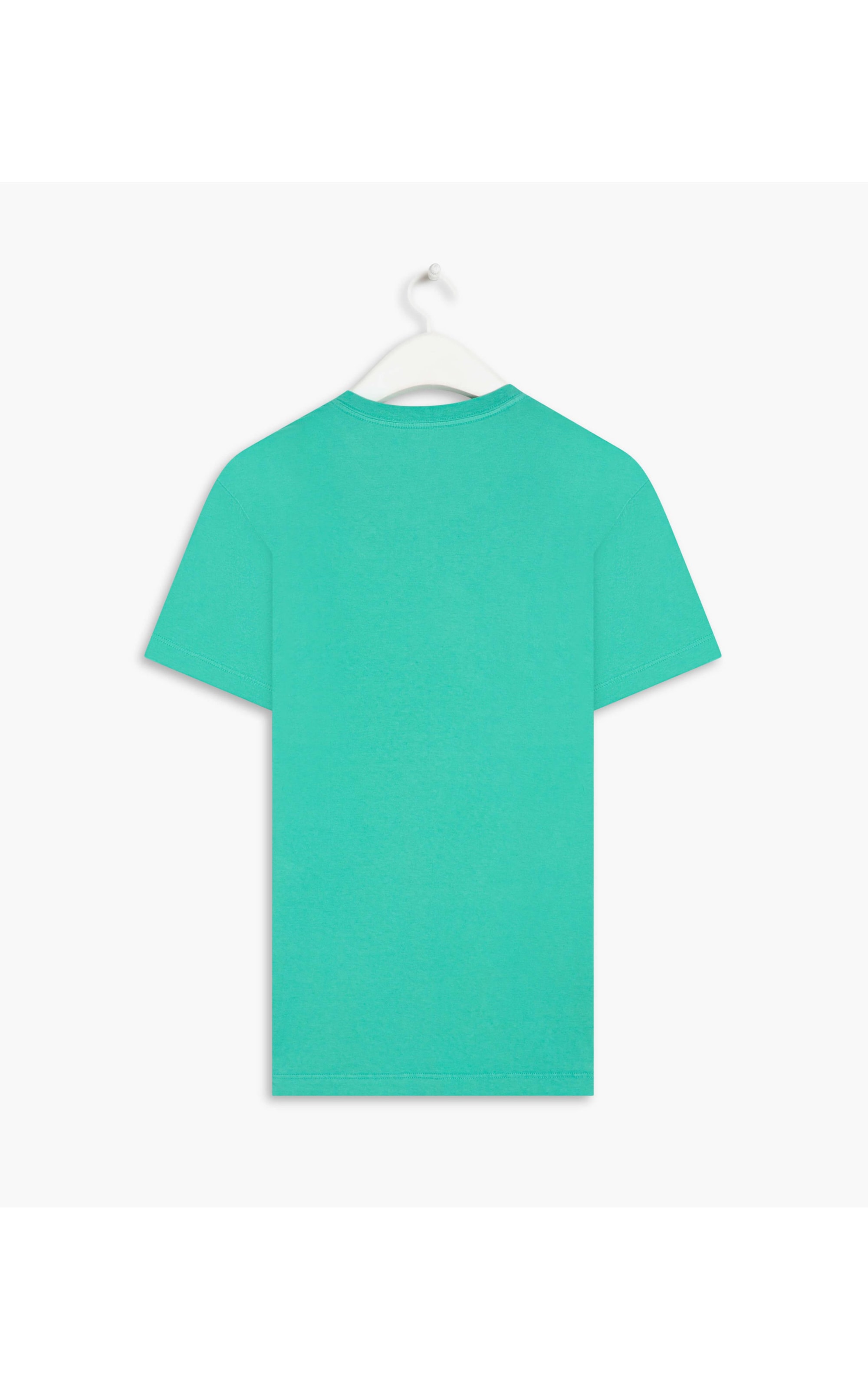 T-Shirt  Aquarela Esmeralda