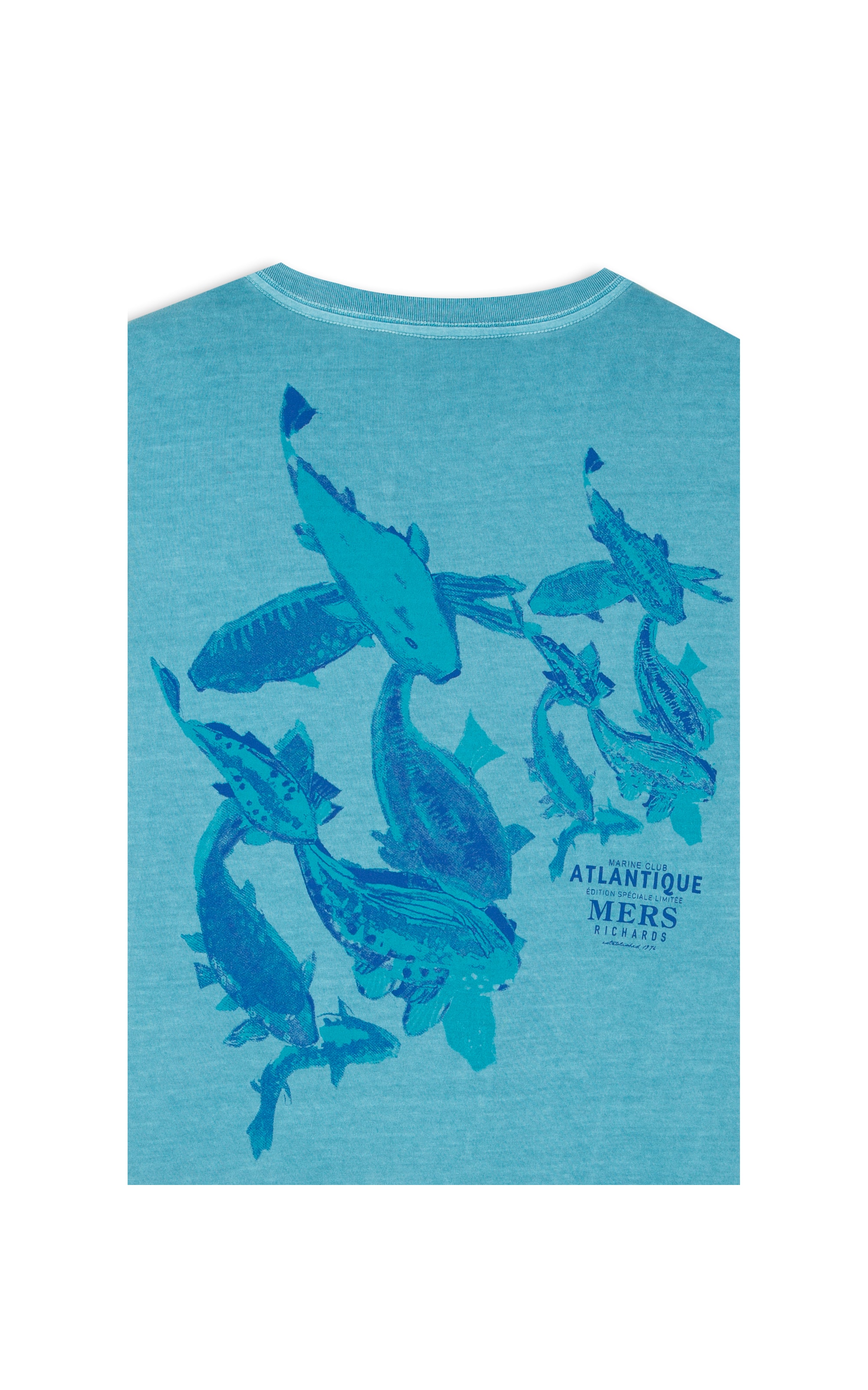 T-Shirt Cardume Washed Mc Bf Hortencia