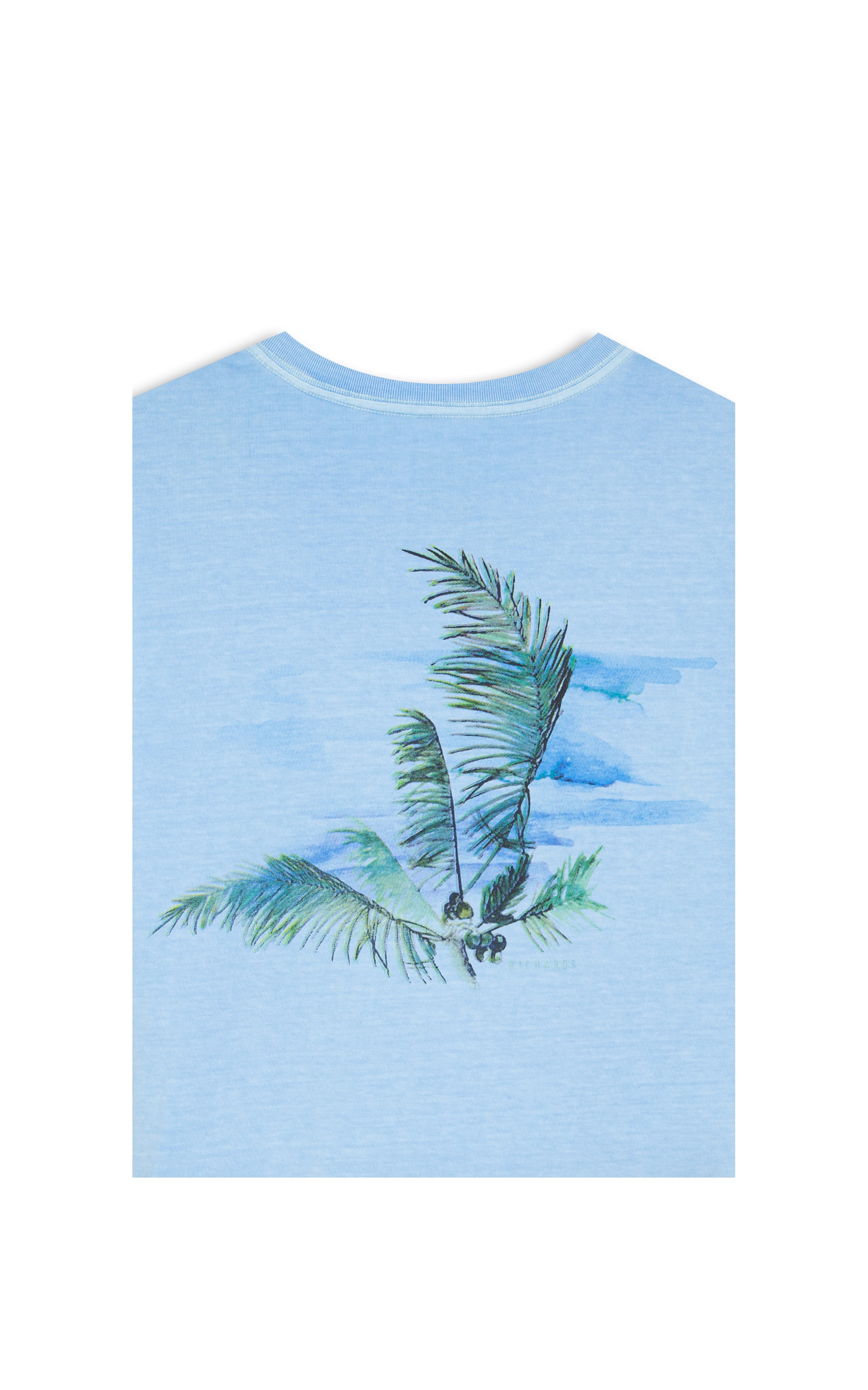 T-Shirt Coqueiral Washed Mc Bf Azul Seco